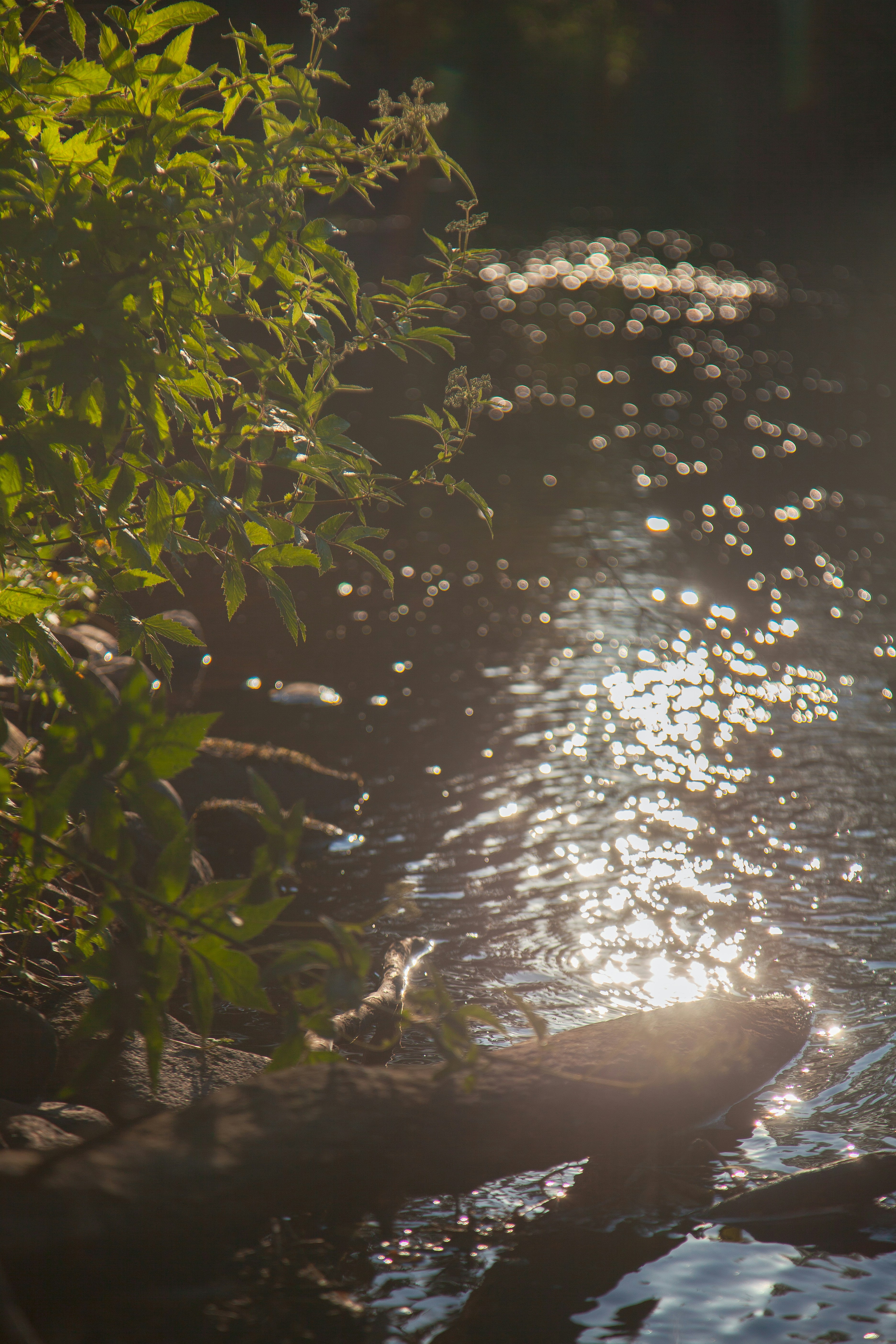 Photo by nick_brookenheimer