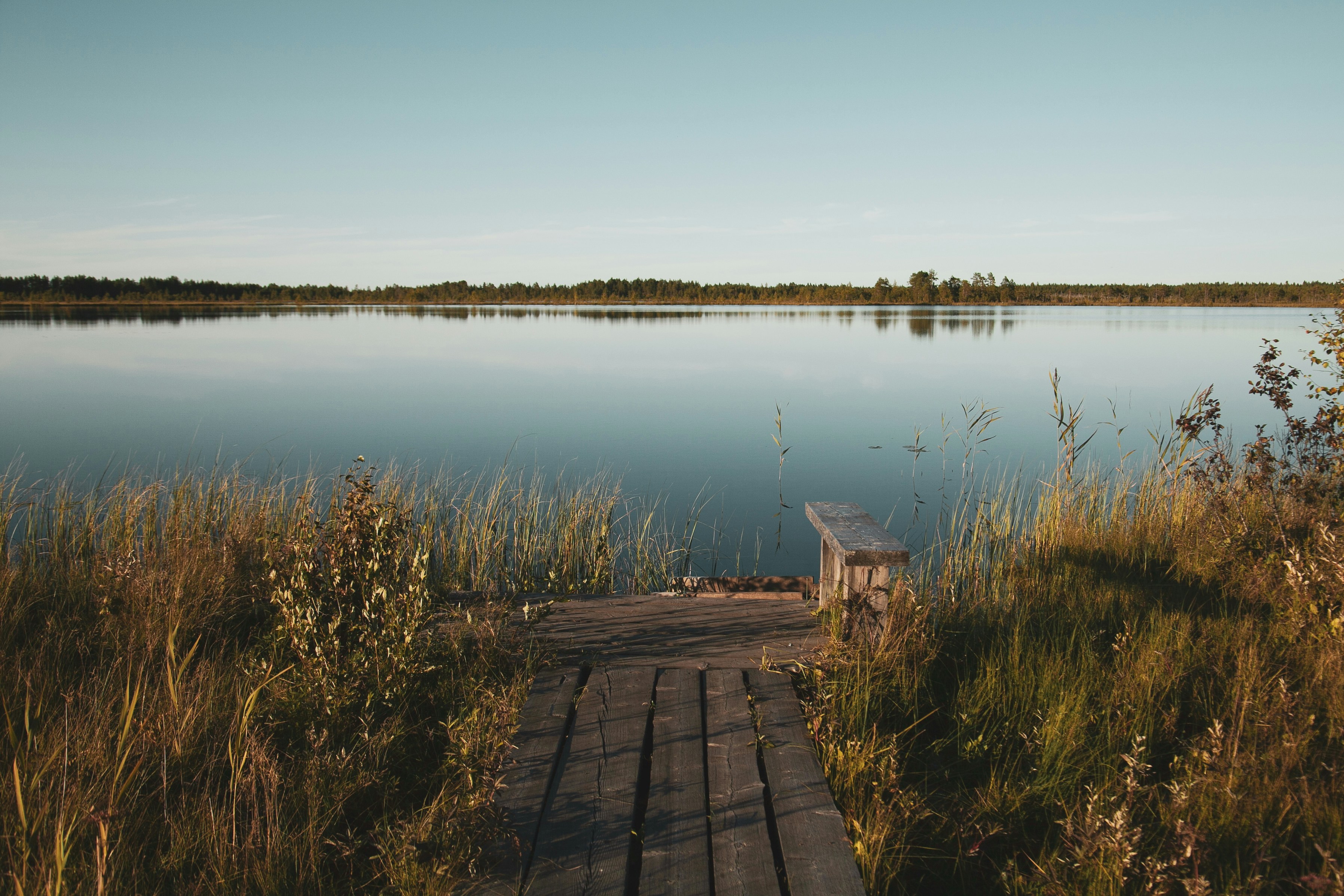 a bridge over a body of water