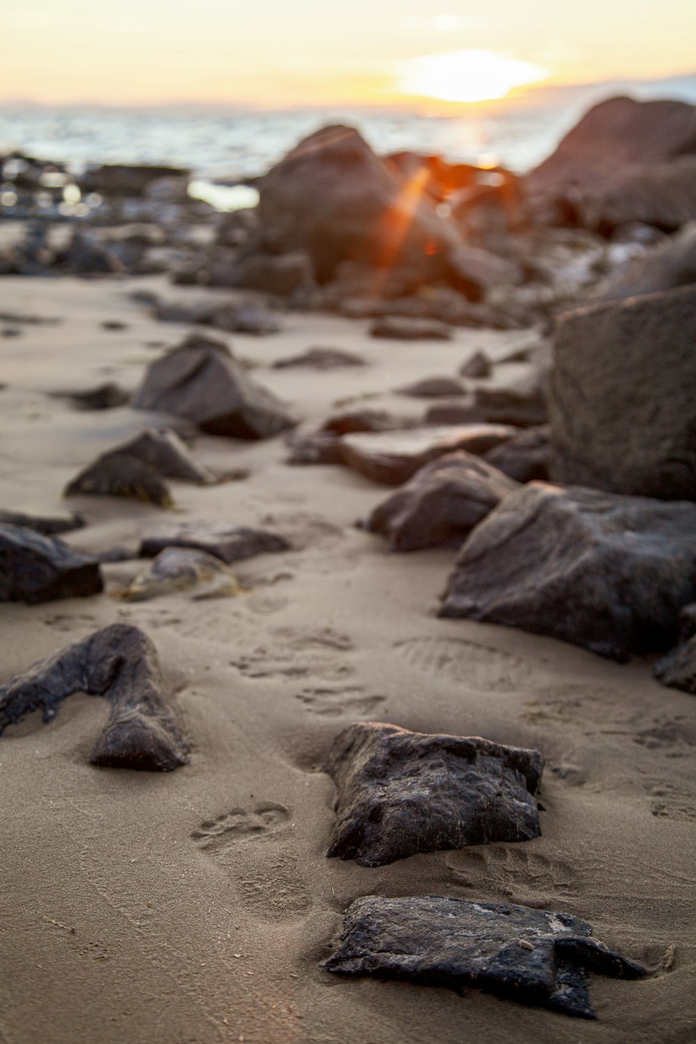 a person lying on a beach