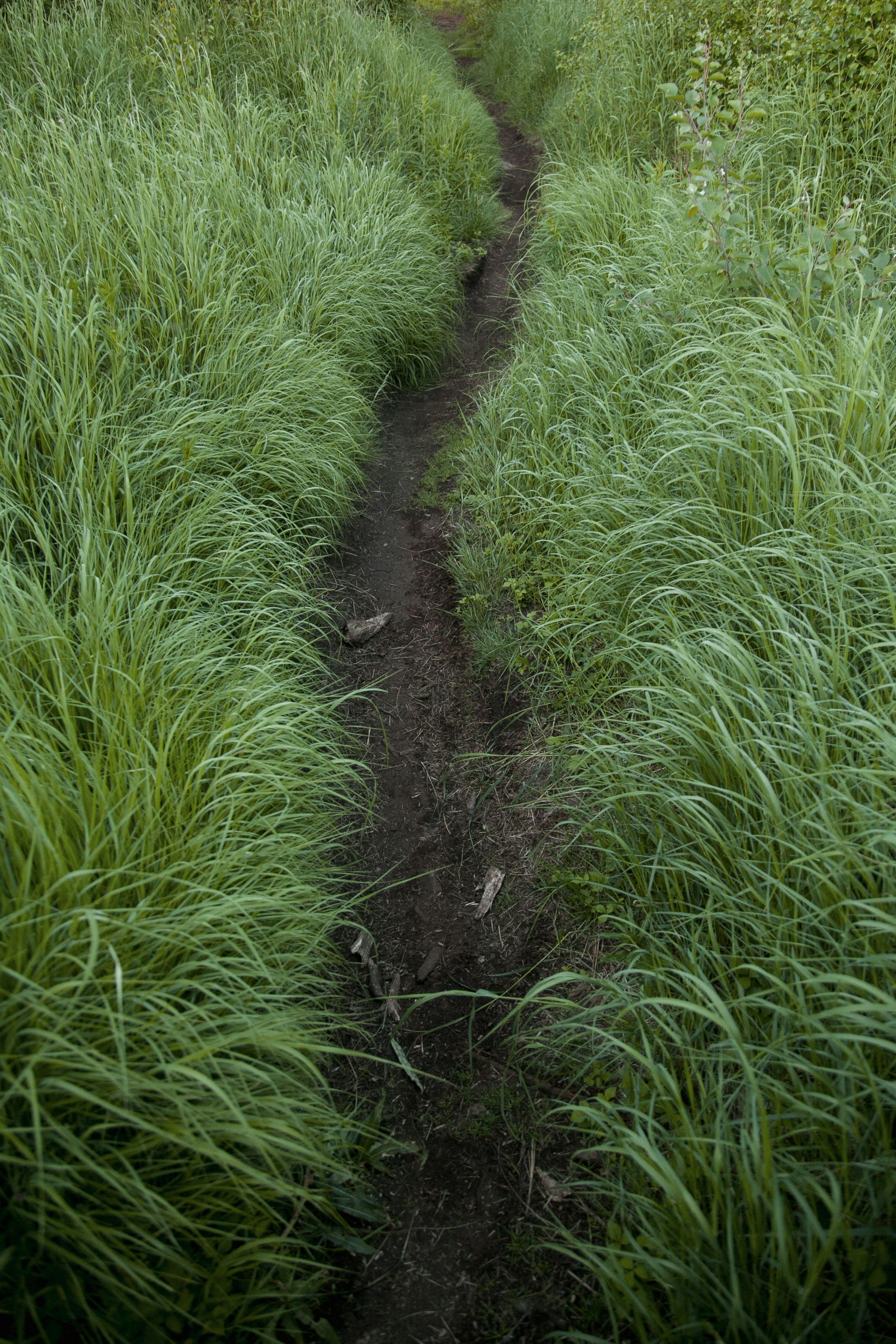 I built something you might want to bookmark