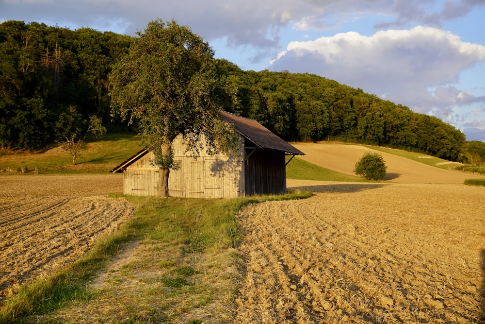 a building in a field