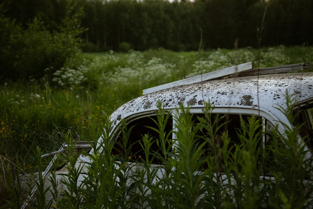 a car covered in moss