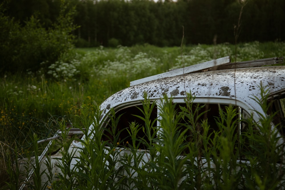 Ein mit Moos bedecktes Auto