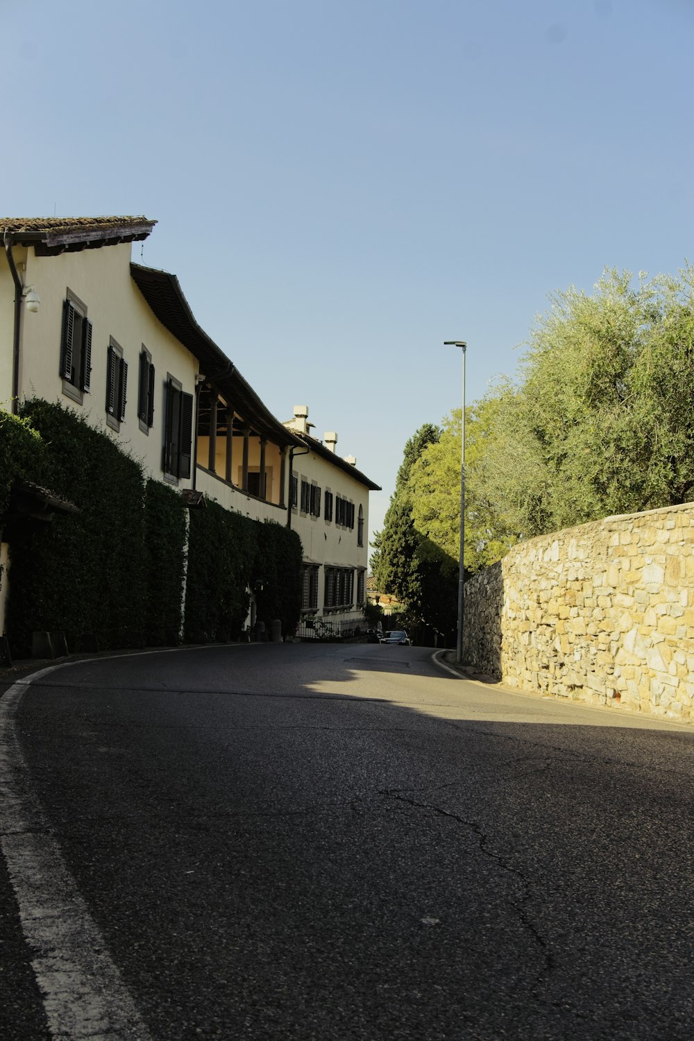 a street with trees and buildings on the side