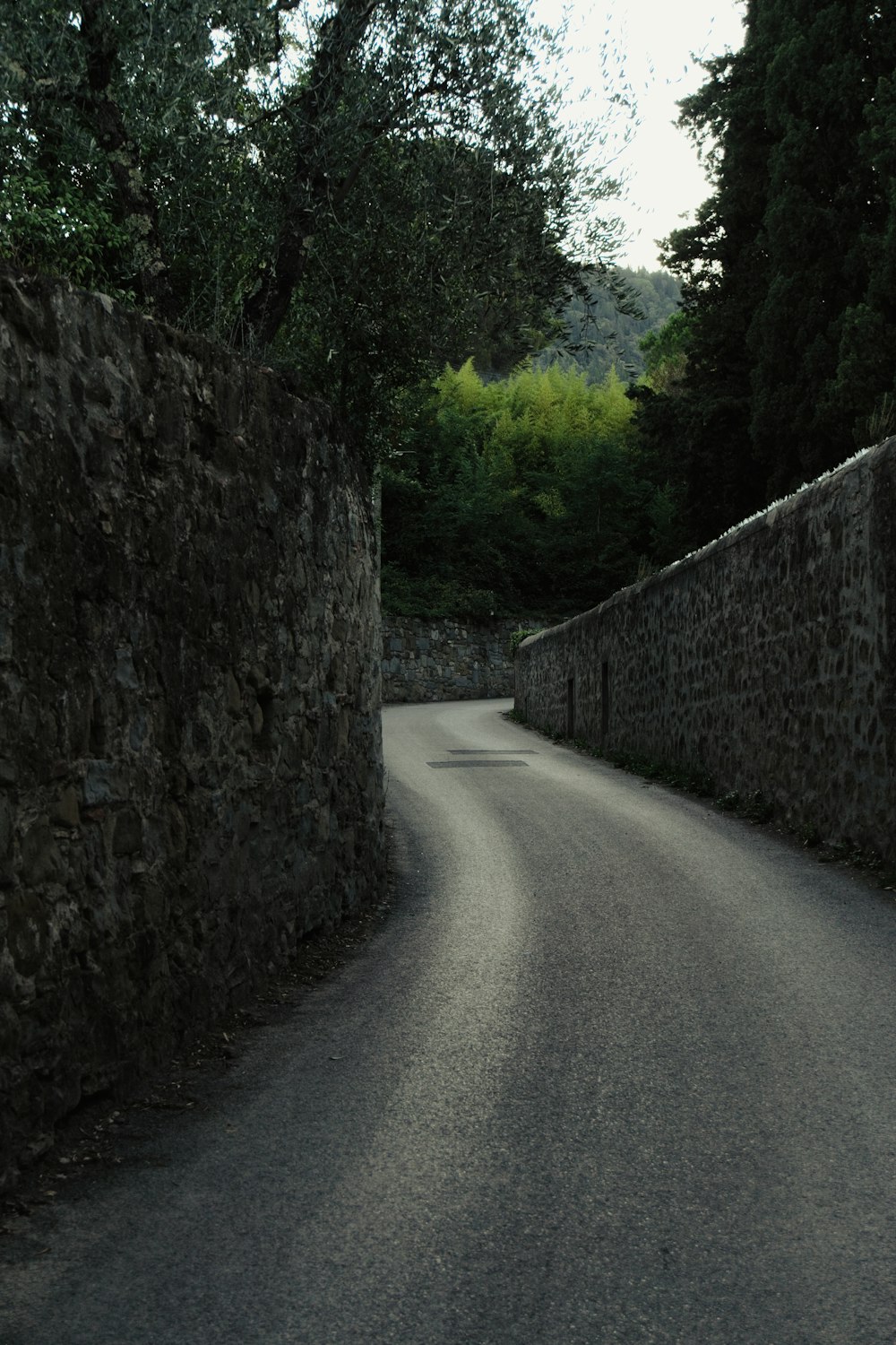 a road with trees on the side