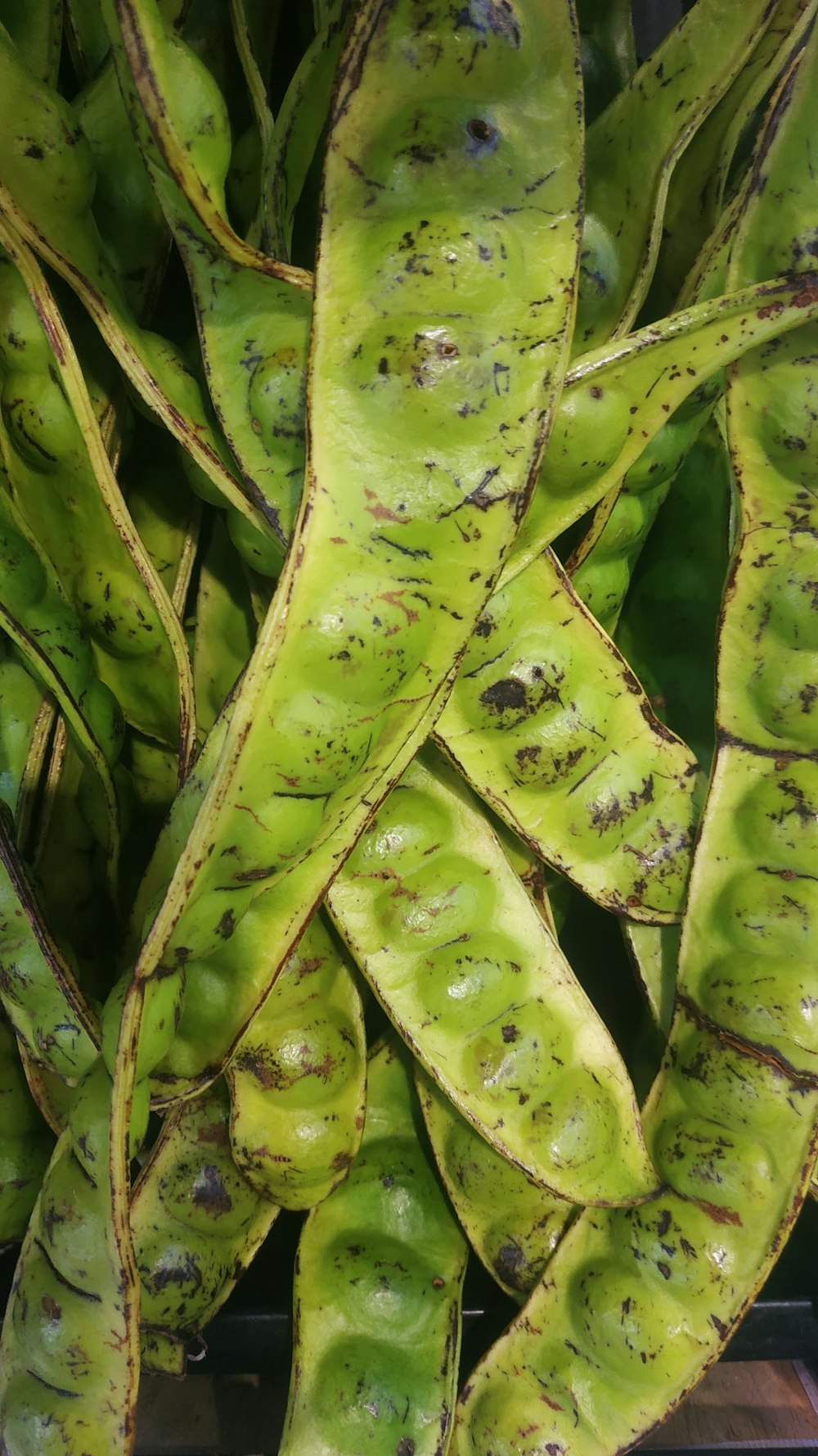 a bunch of green bananas