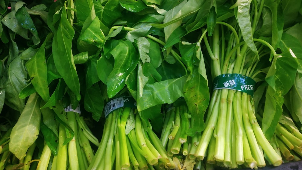 un montón de judías verdes