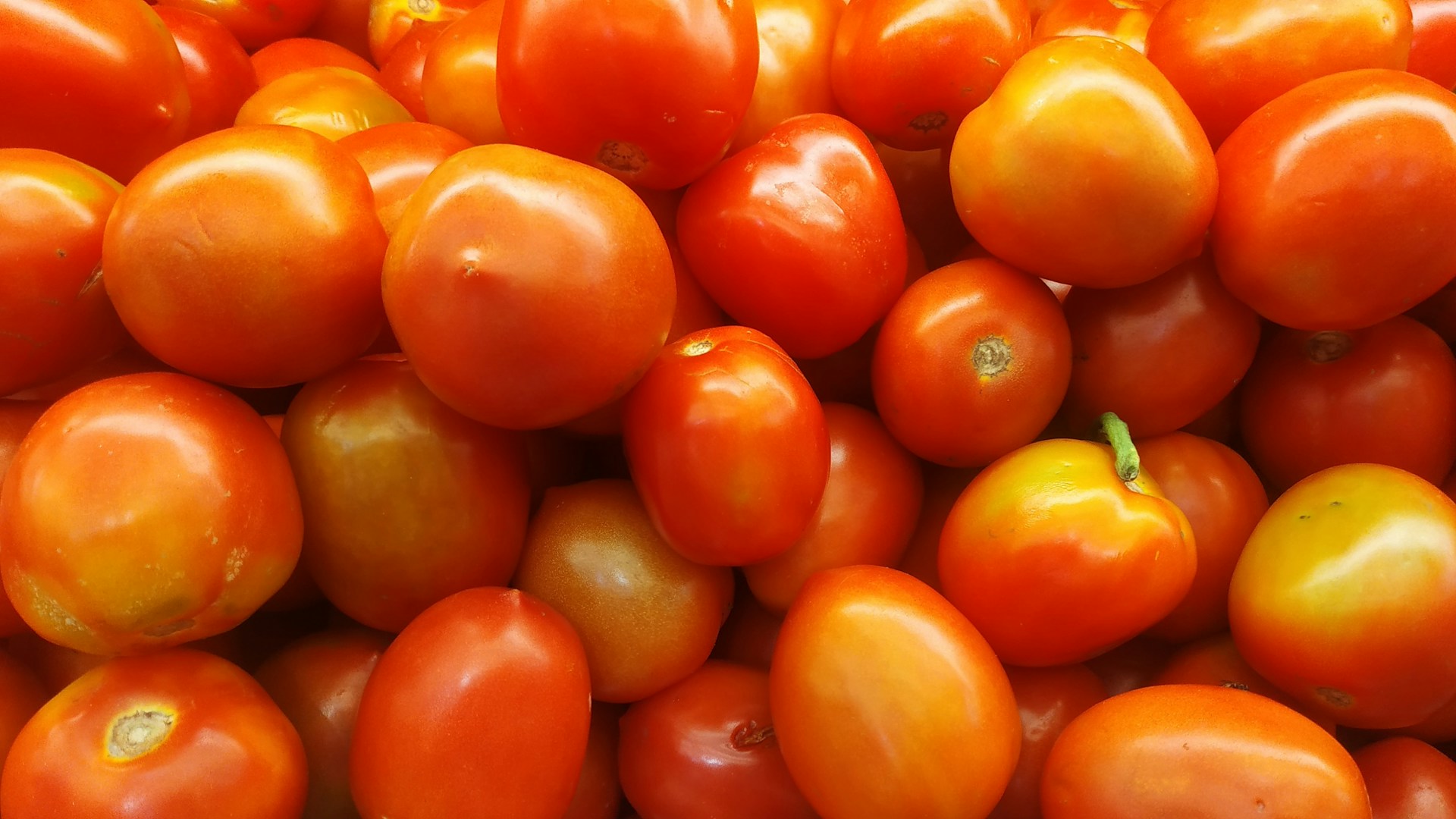 a pile of tomatoes