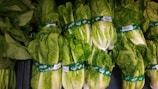 A collection of fresh green leafy vegetables with several bundles of romaine lettuce neatly stacked together. Each bundle is wrapped with a green band labeled with product information.