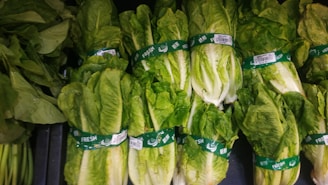 A collection of fresh green leafy vegetables with several bundles of romaine lettuce neatly stacked together. Each bundle is wrapped with a green band labeled with product information.