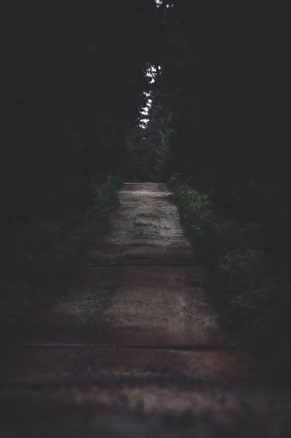 Chemin entre les arbres