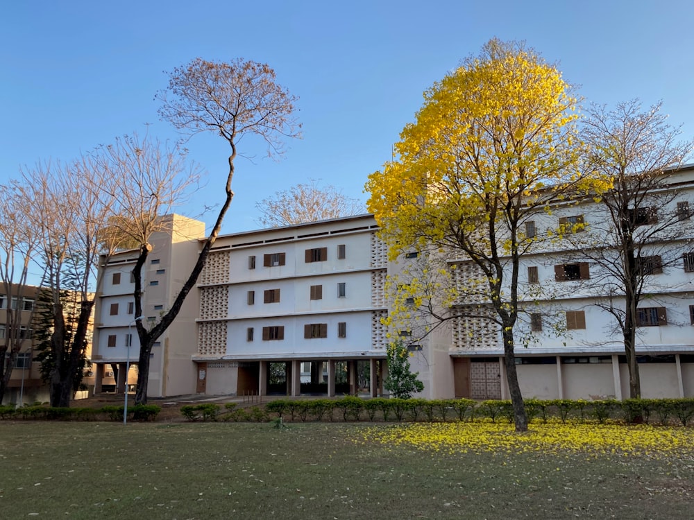 Un edificio con árboles frente a él