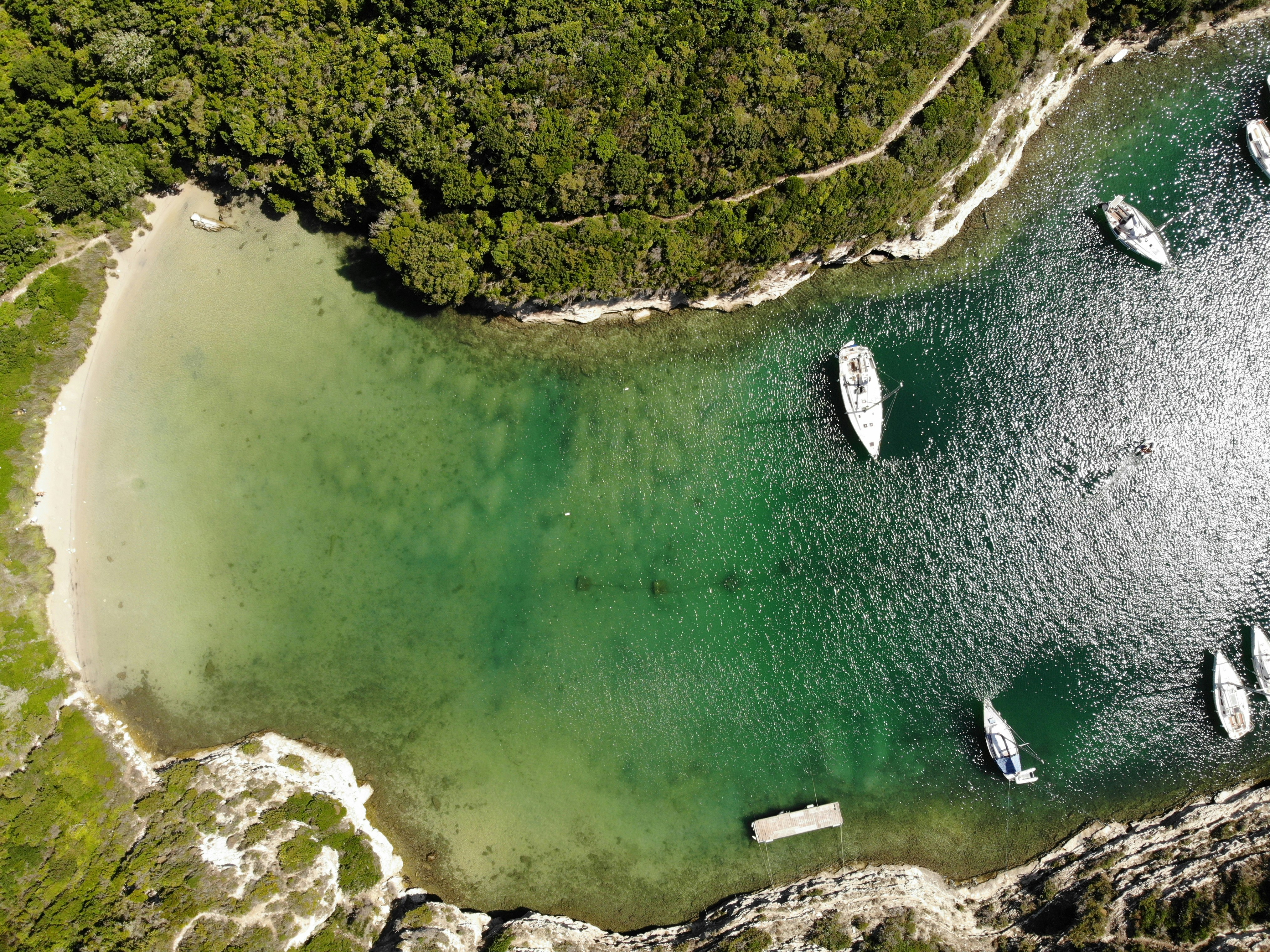 a body of water with trees around it