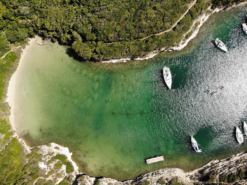 a body of water with trees around it