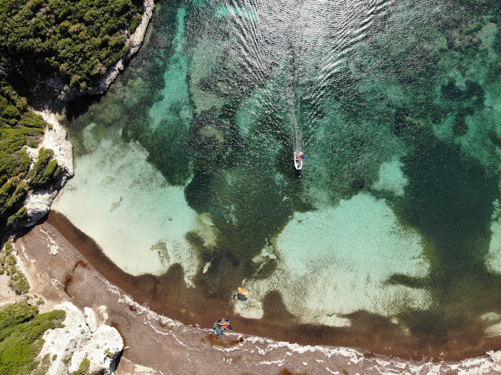 a group of people in a body of water