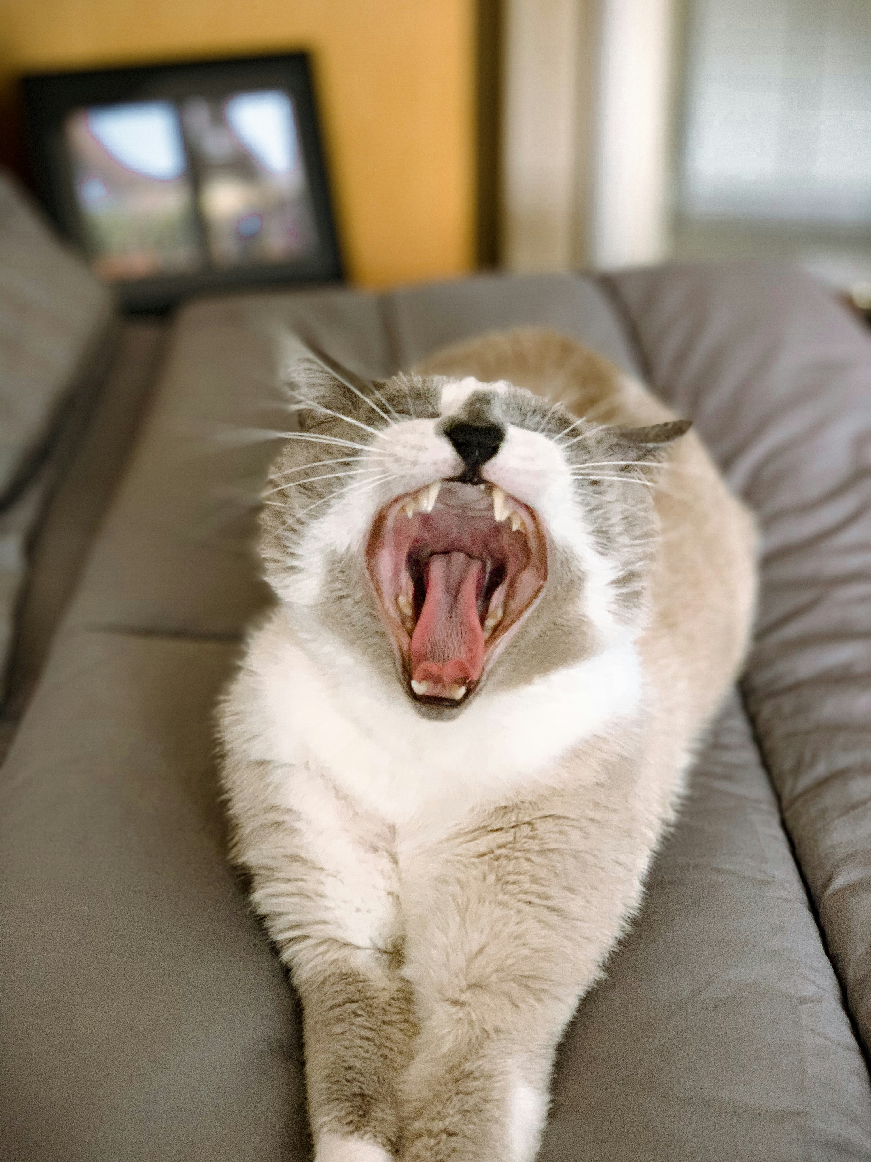 Photo by iambeatrizbraga