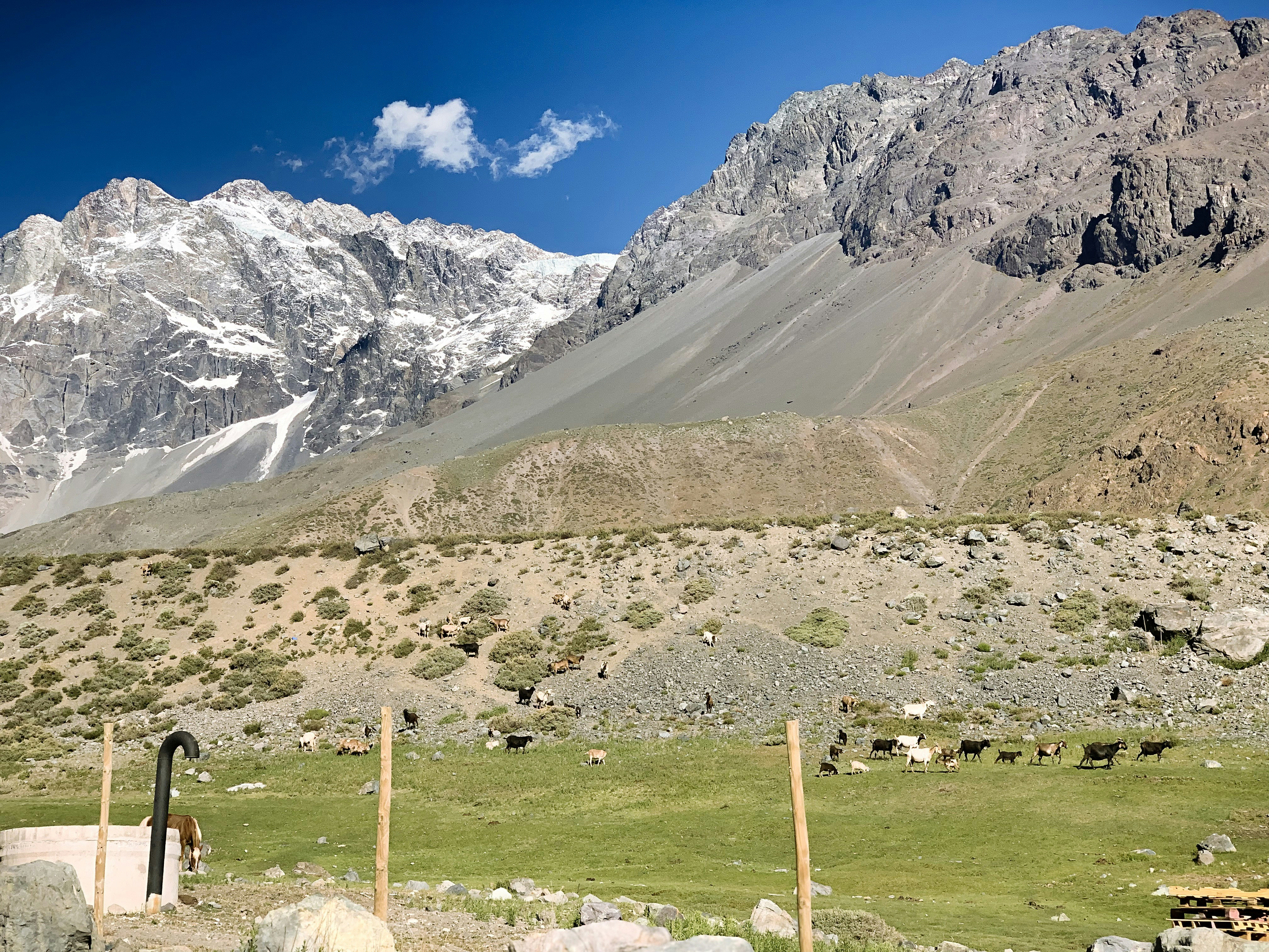 Photo by iambeatrizbraga