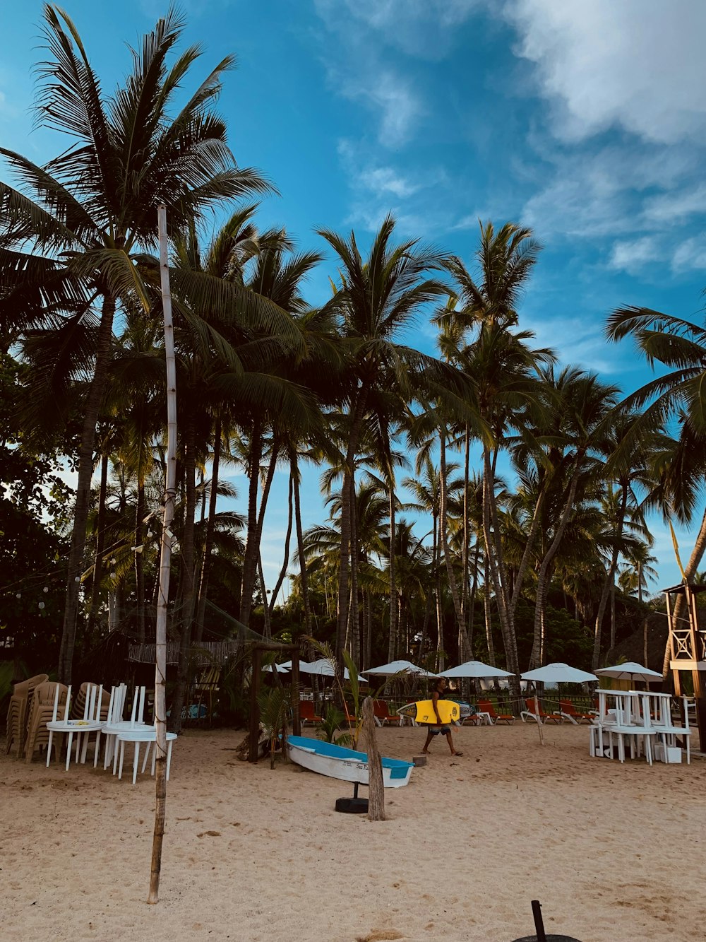 a beach with palm trees