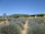 Lush rows of lavender plants stretch out across a field under a bright blue sky. In the distance, green hills provide a scenic backdrop. A few trees and playful elements like a swing set add charm to the landscape.