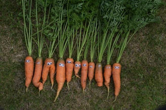 a group of carrots in the grass