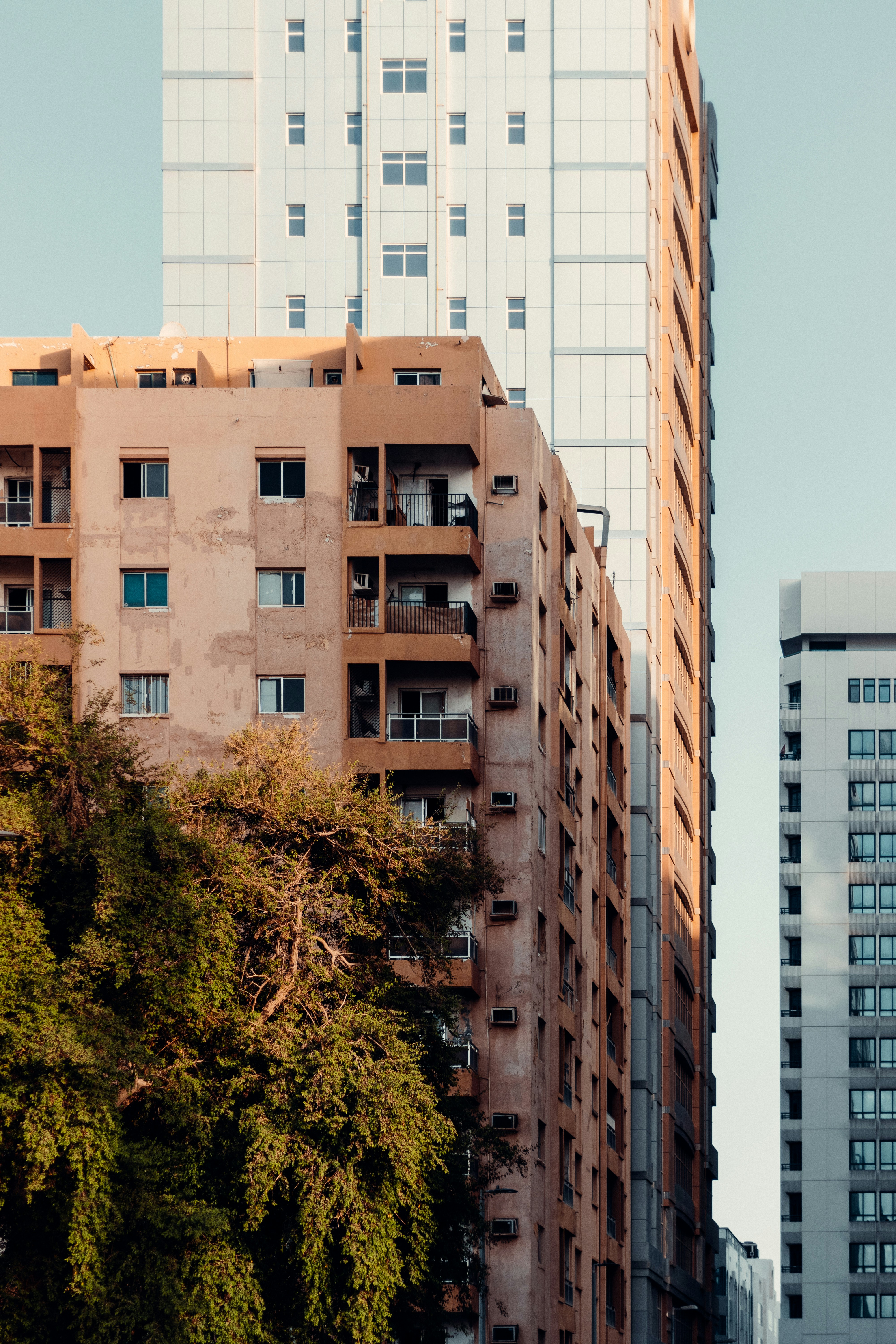 Photo by salaheregouane