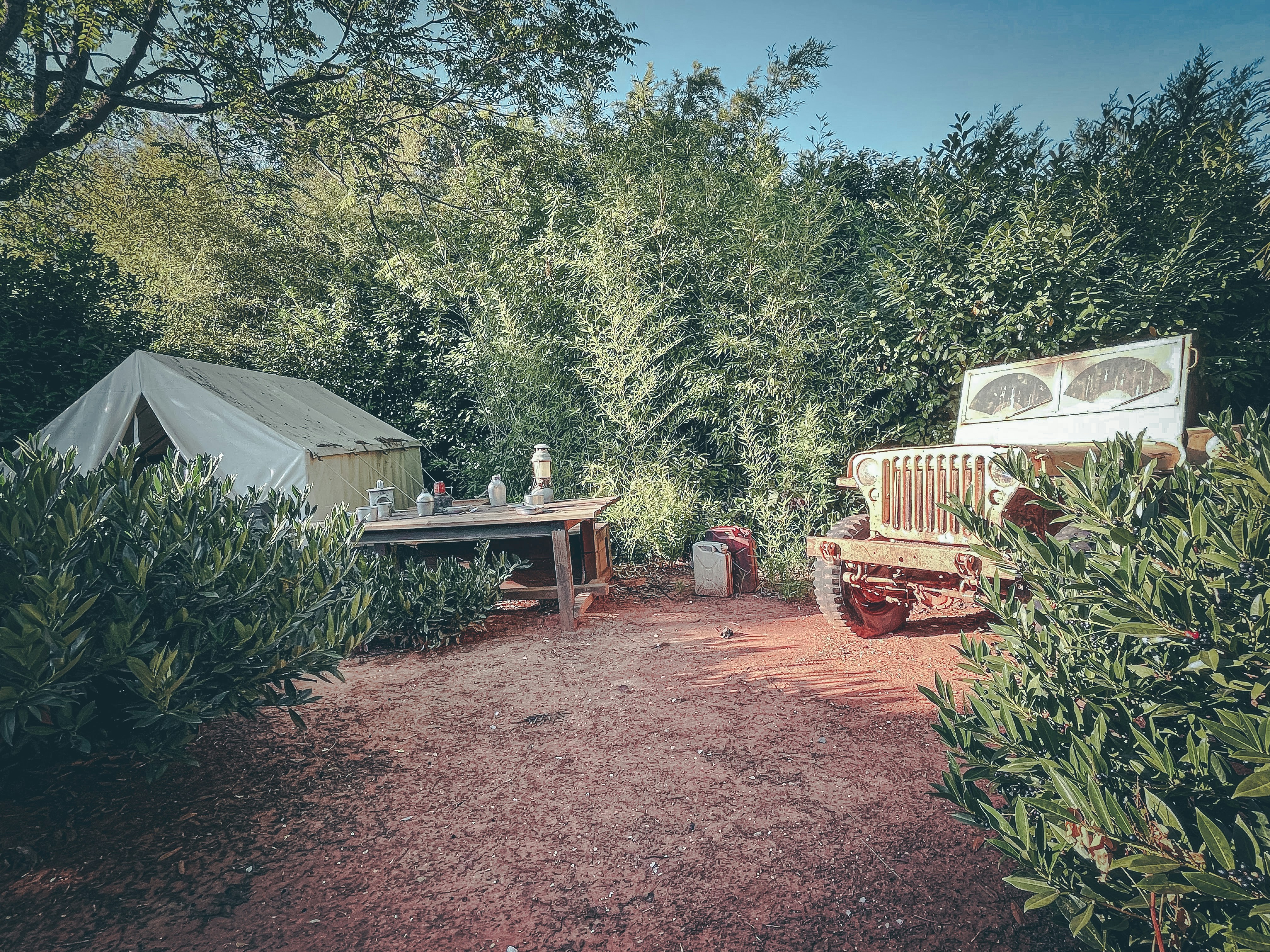 Photo by milica_spasojevic