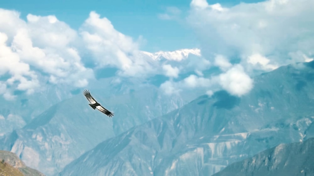 Ein Flugzeug fliegt über einen Berg