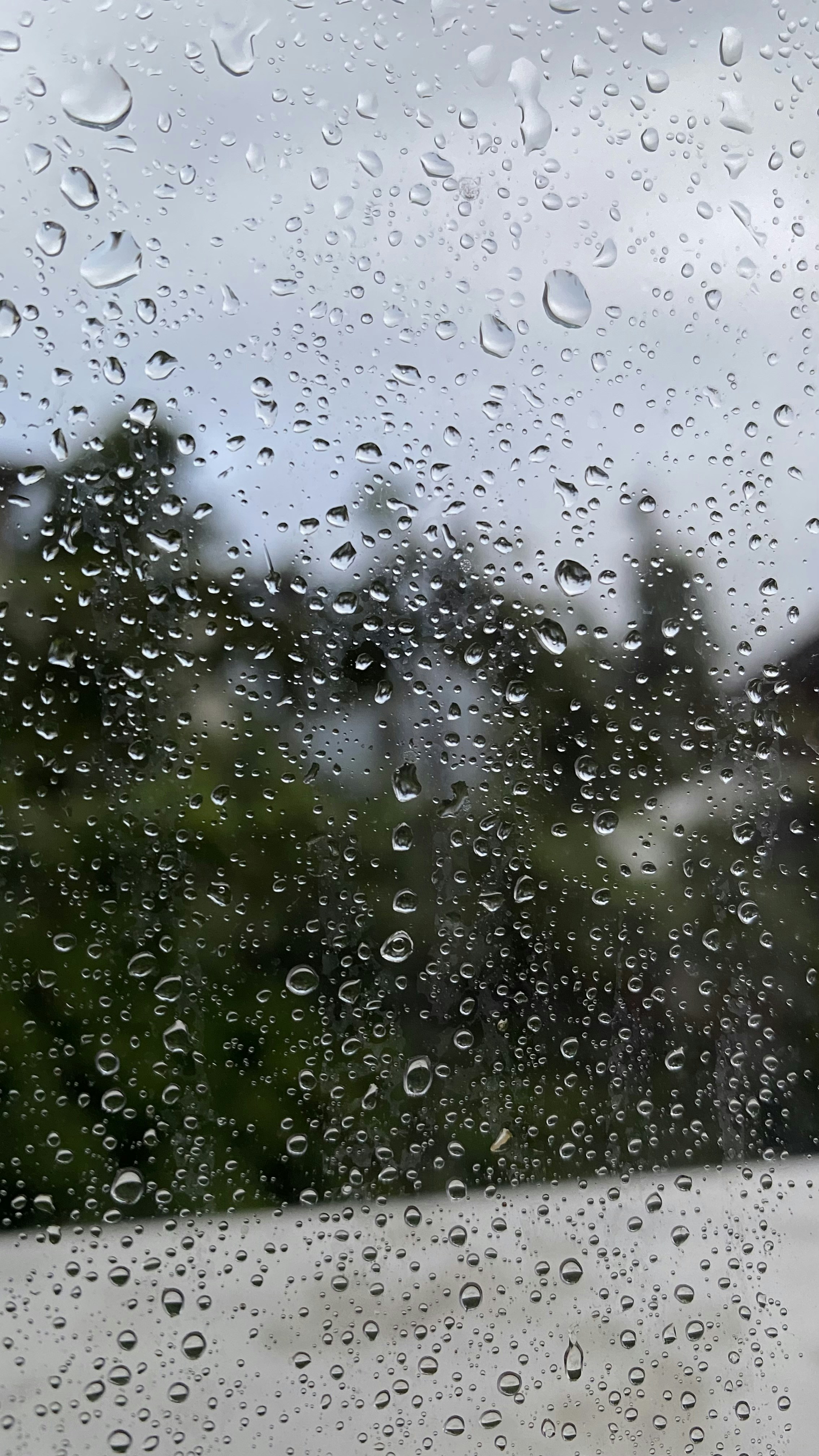 Photo by thallasophile