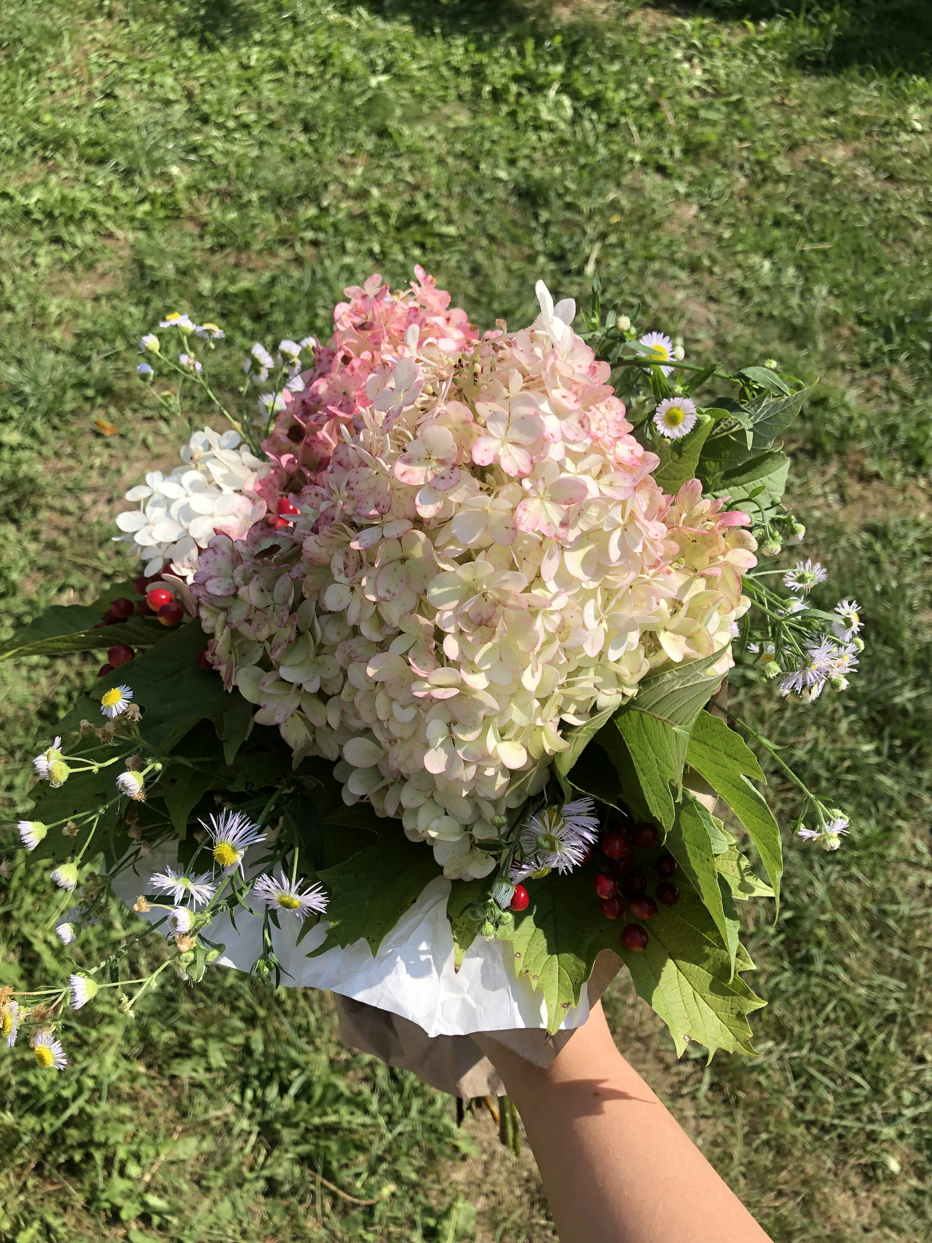 photo-1662326495491-764da874b01f?ixid=M3wxMjA3fDB8MXxzZWFyY2h8Mnx8bG9uZyUyMGlzbGFuZCUyMHdlZGRpbmclMjBmbG93ZXJzfGVufDB8fHx8MTc0OTU4NjgzMHww\u0026ixlib=rb-4.1.0