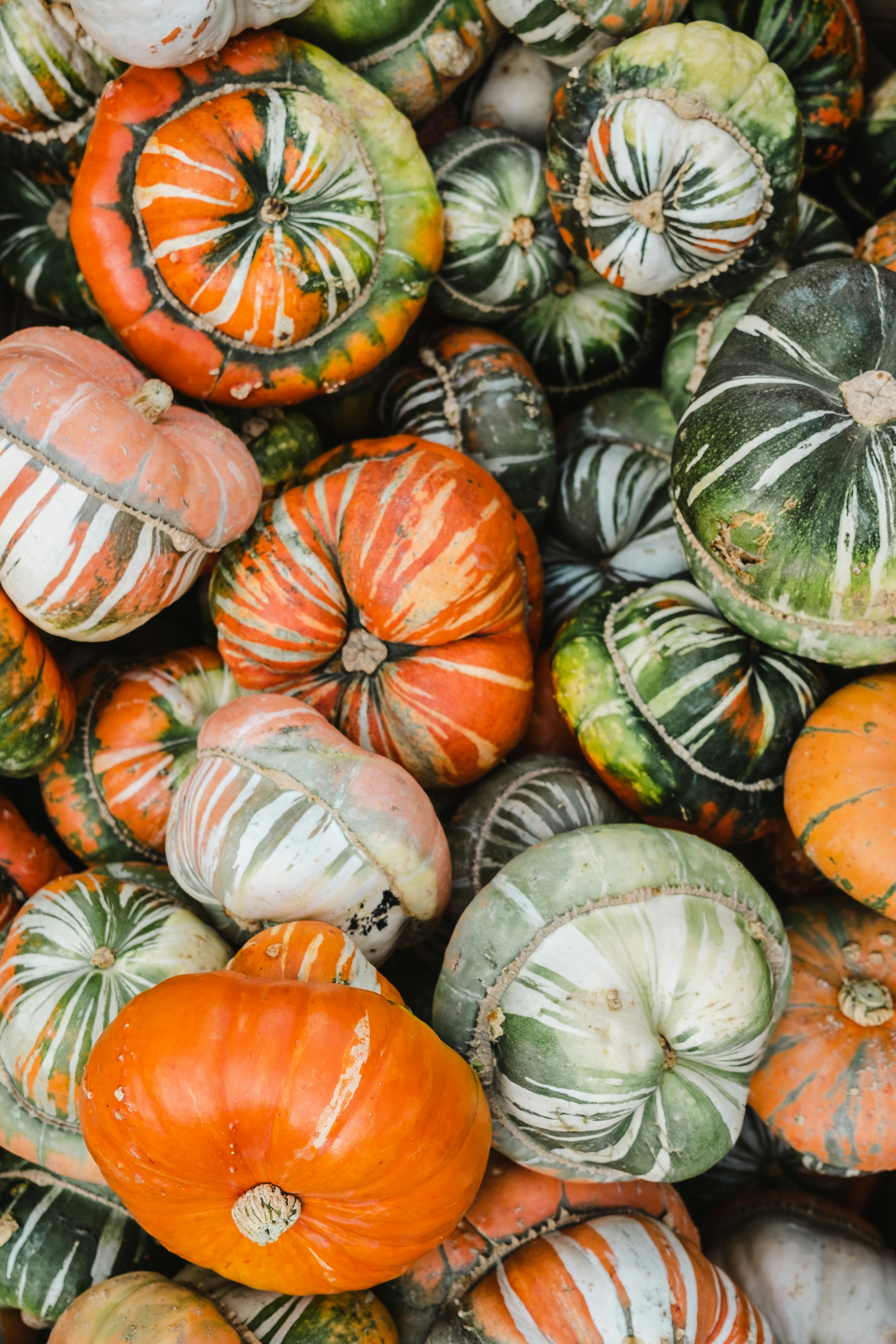 Photo by filipp_roman_photography