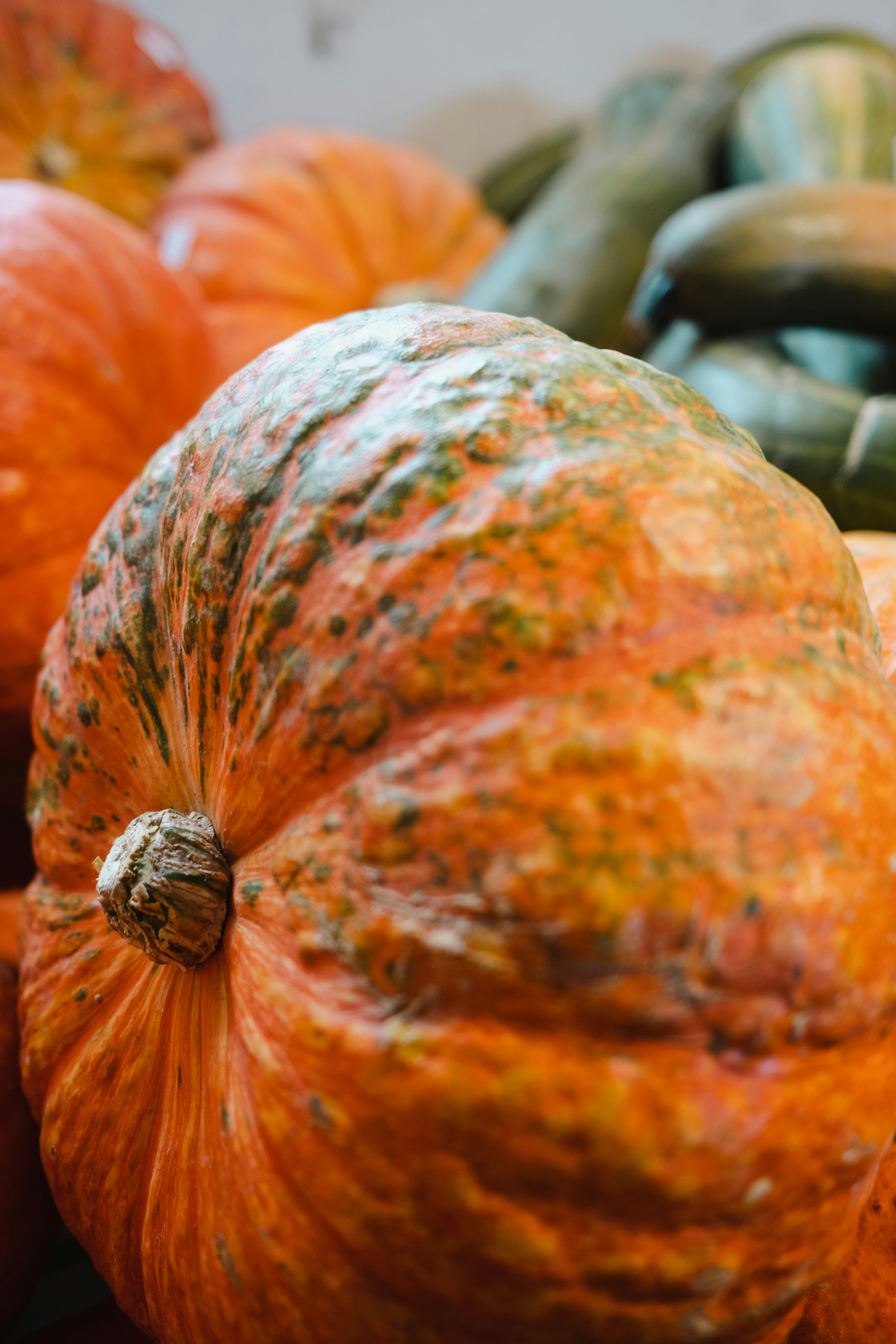 Photo by filipp_roman_photography