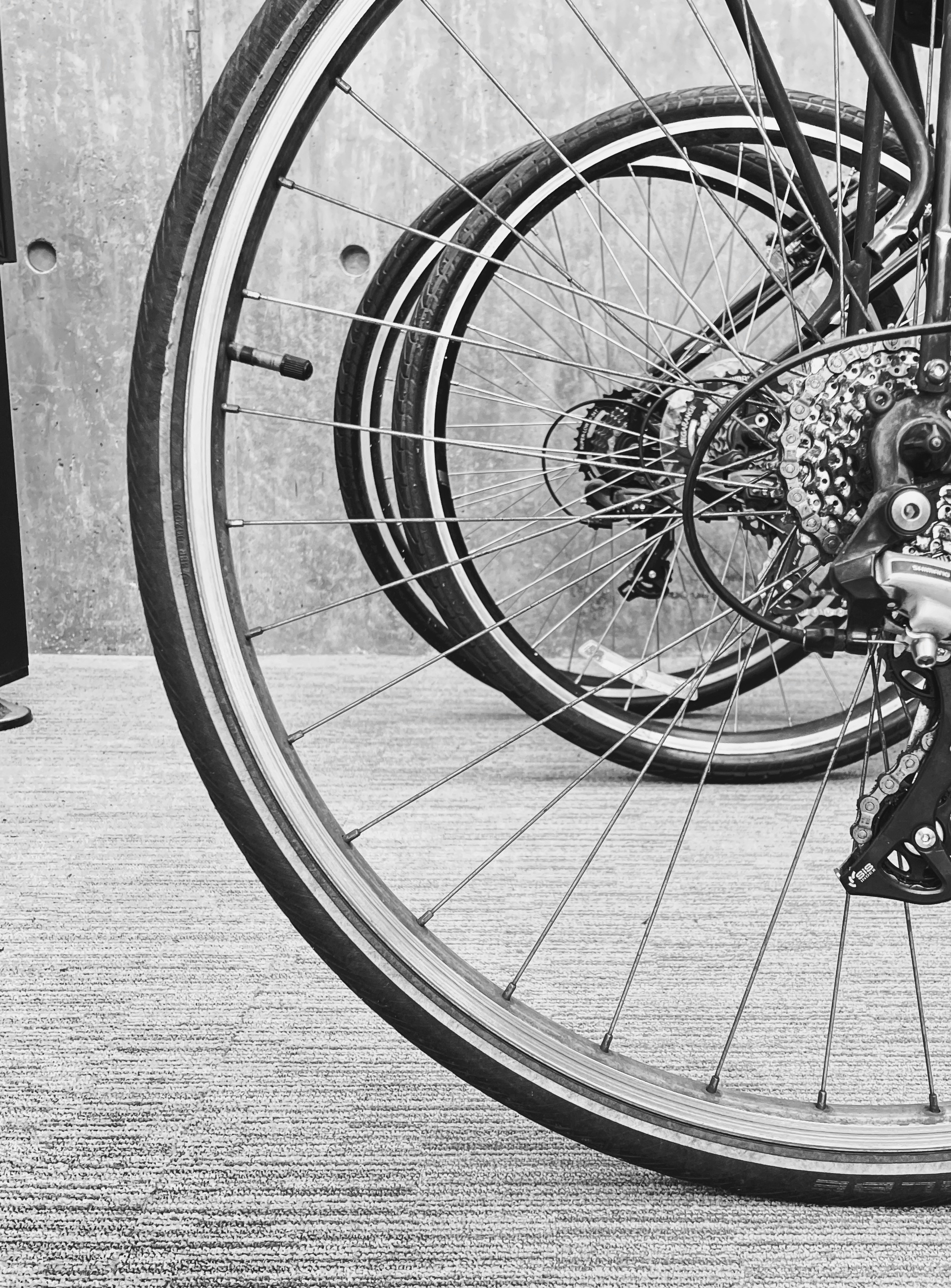 Photo by melissainsc