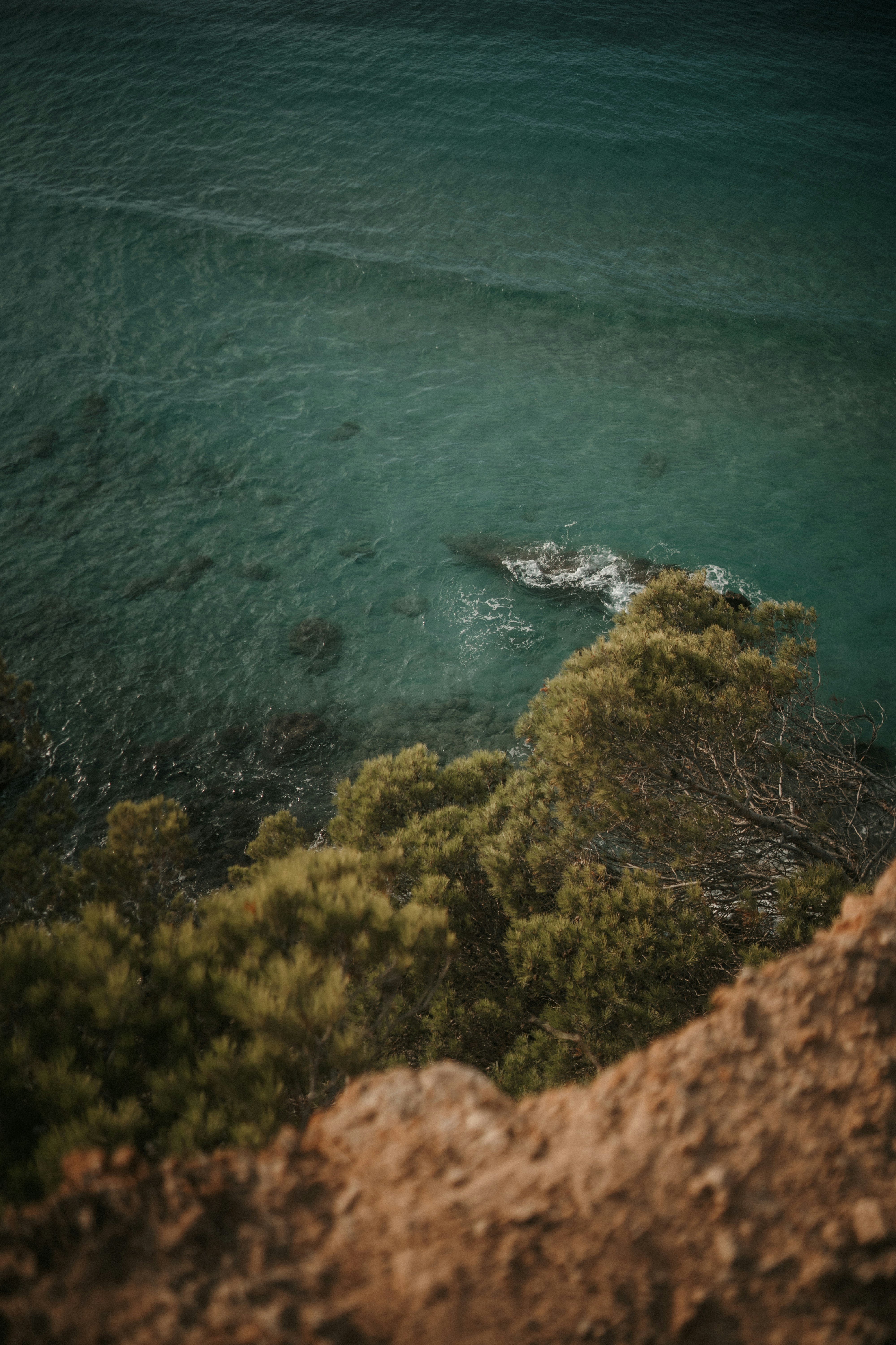 Photo by luiseandnic