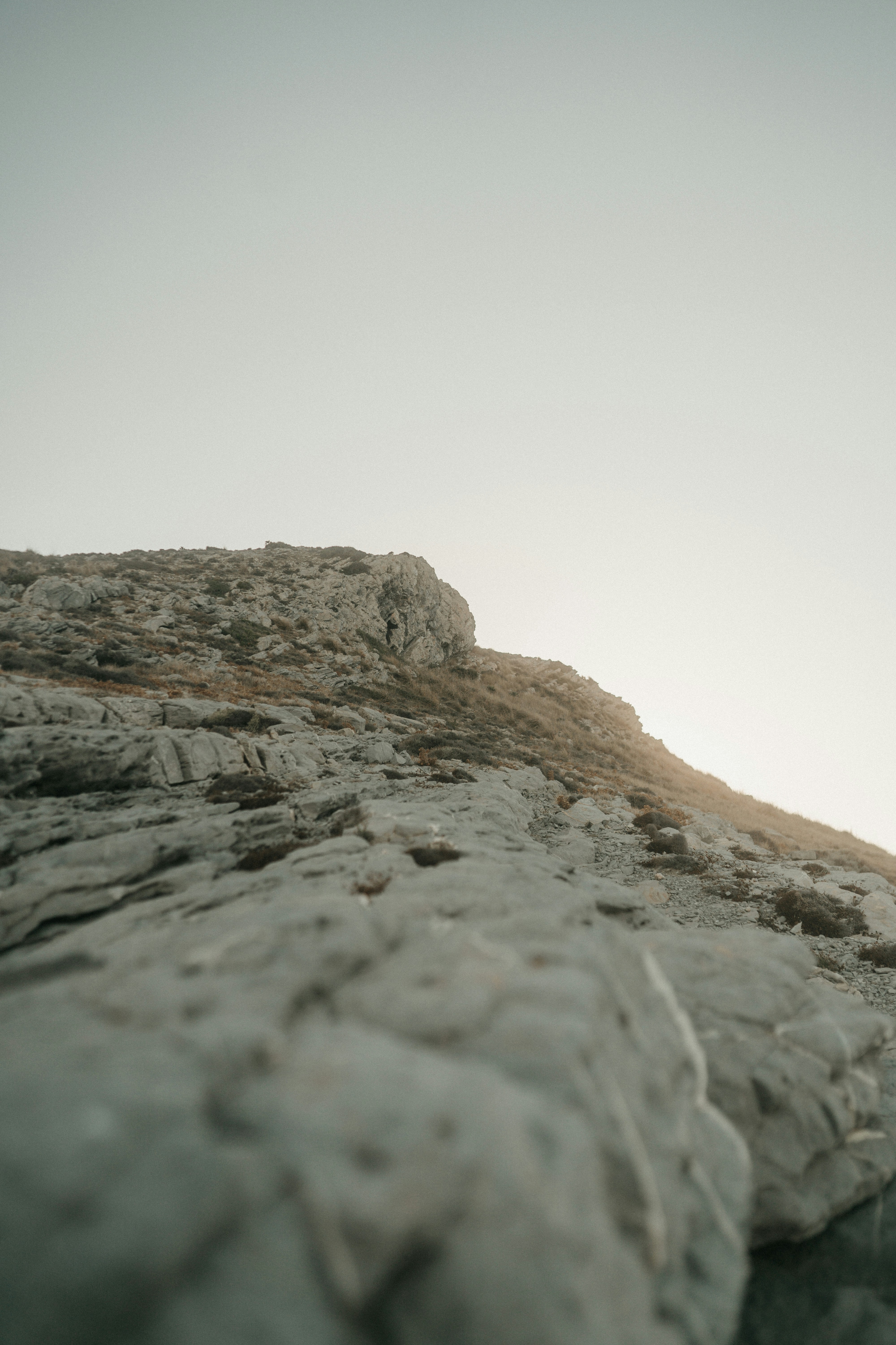 Photo by luiseandnic