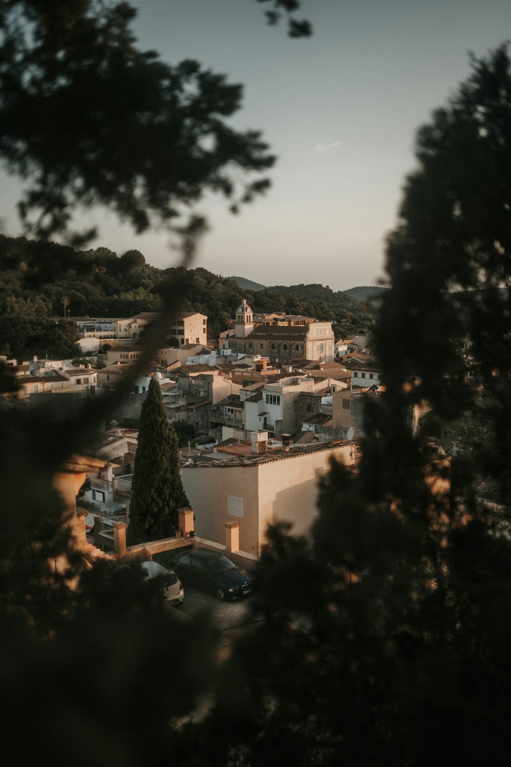 a city with trees and cars