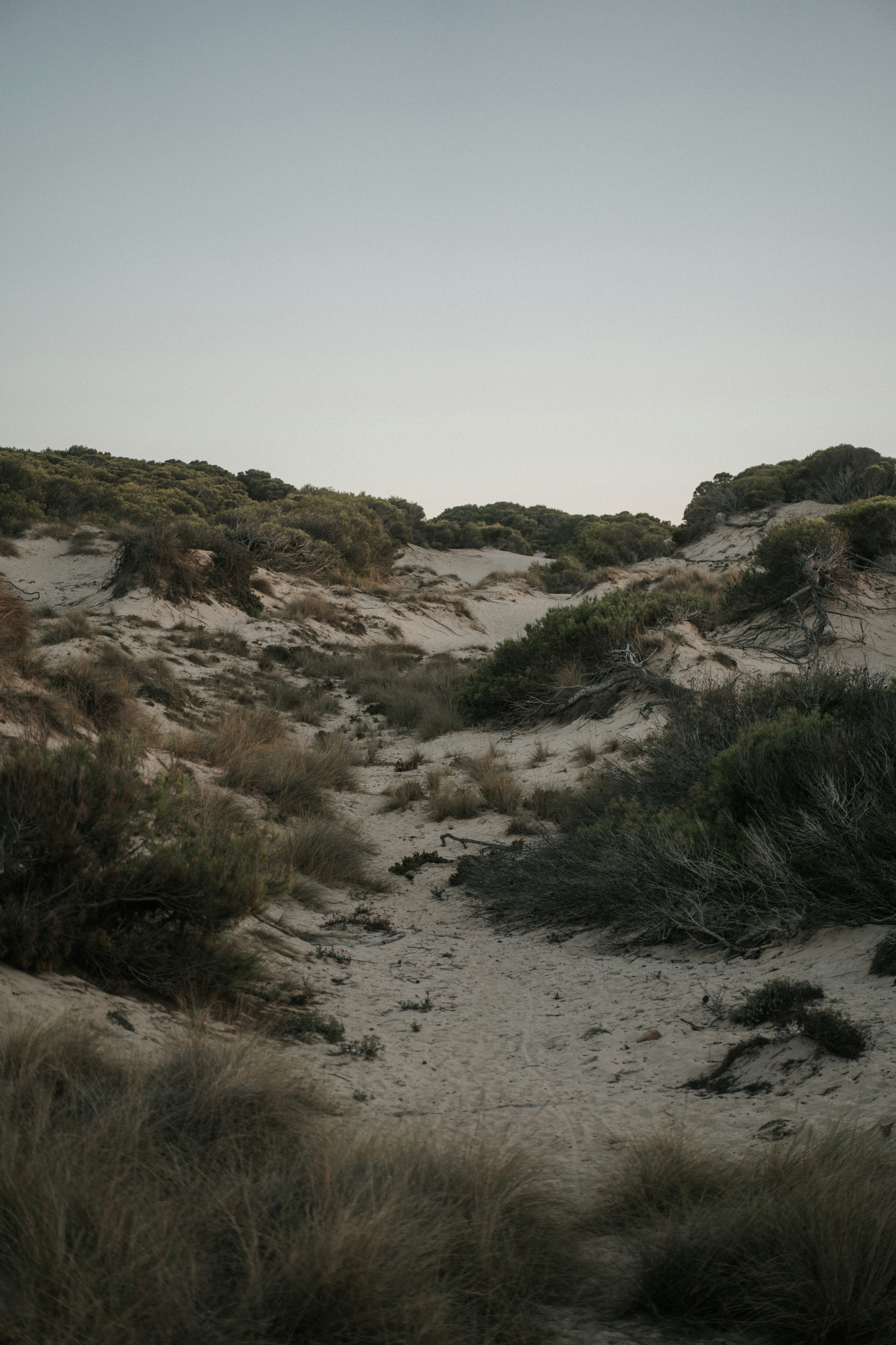 Photo by luiseandnic