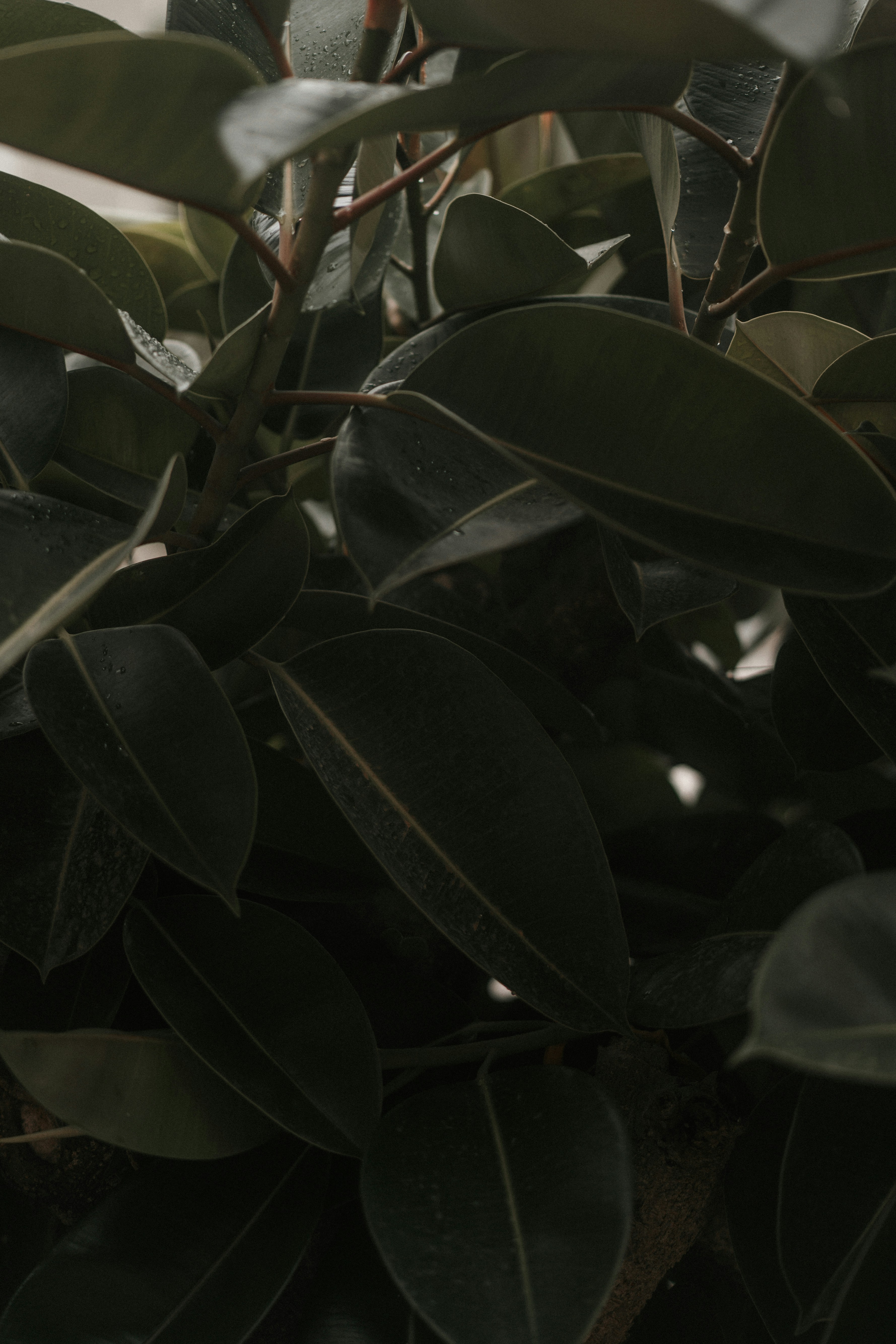 Photo by luiseandnic