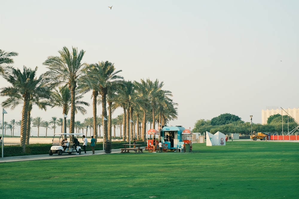 a park with palm trees