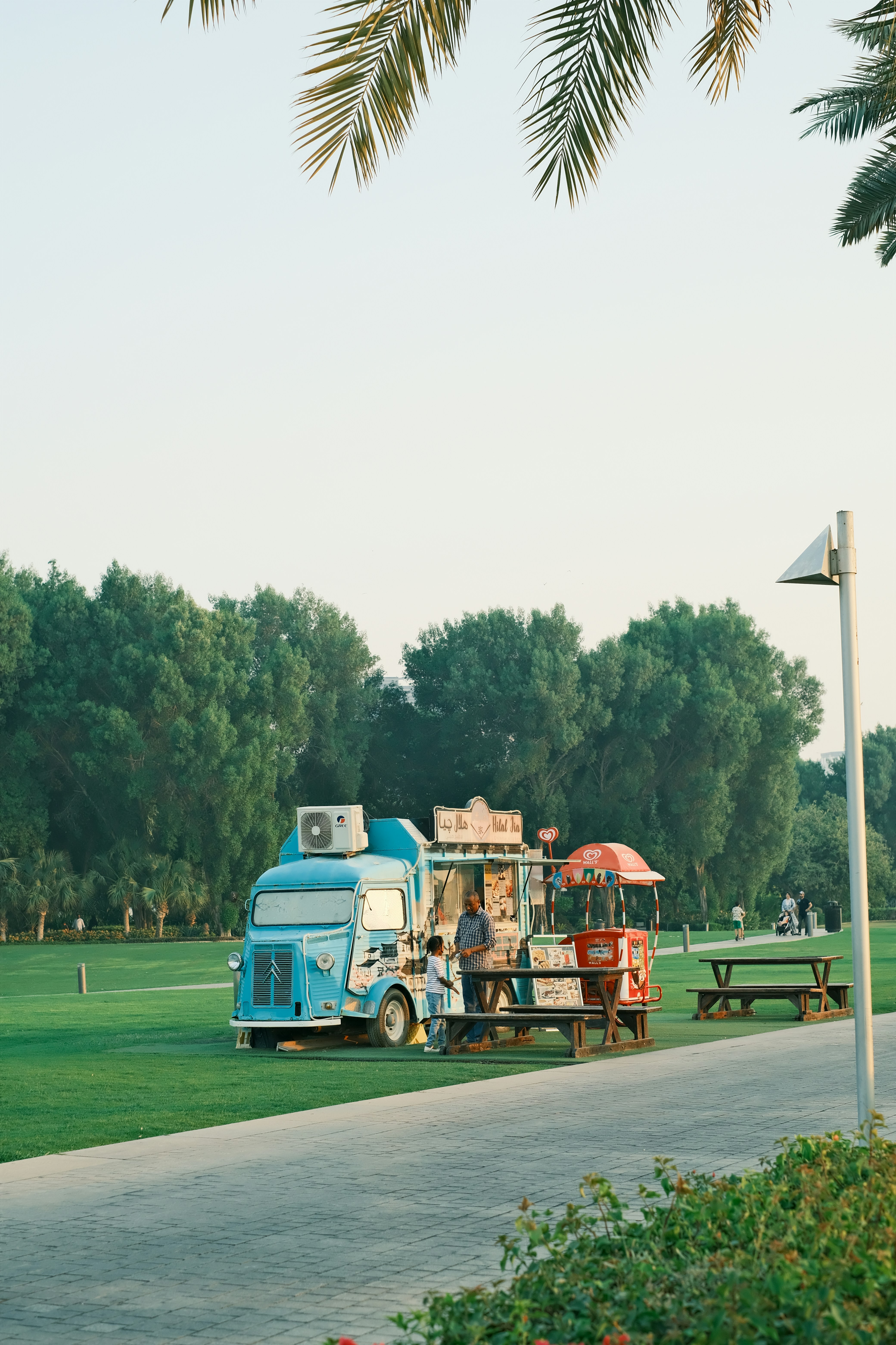 a blue truck on the street