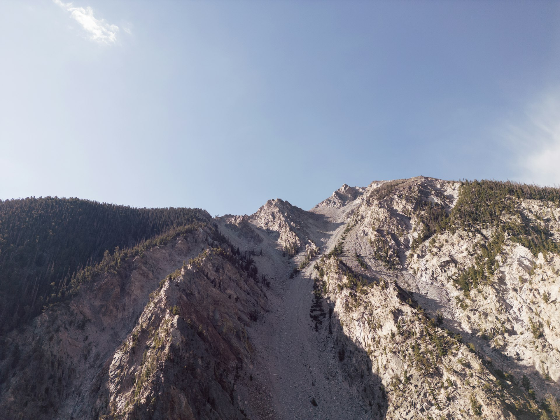 a rocky mountain with trees
