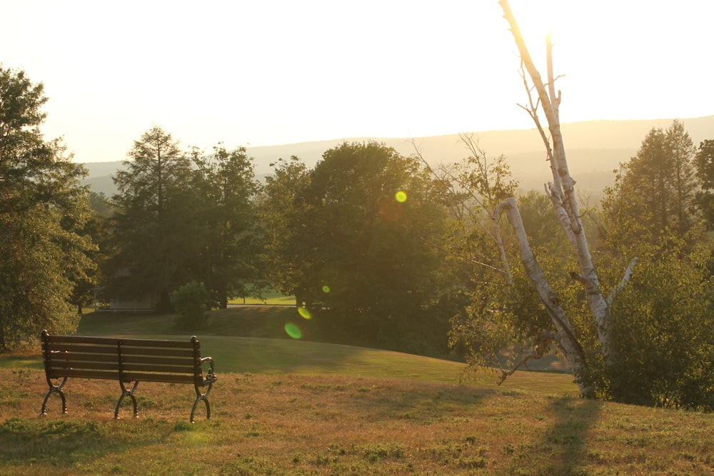 a bench in a park