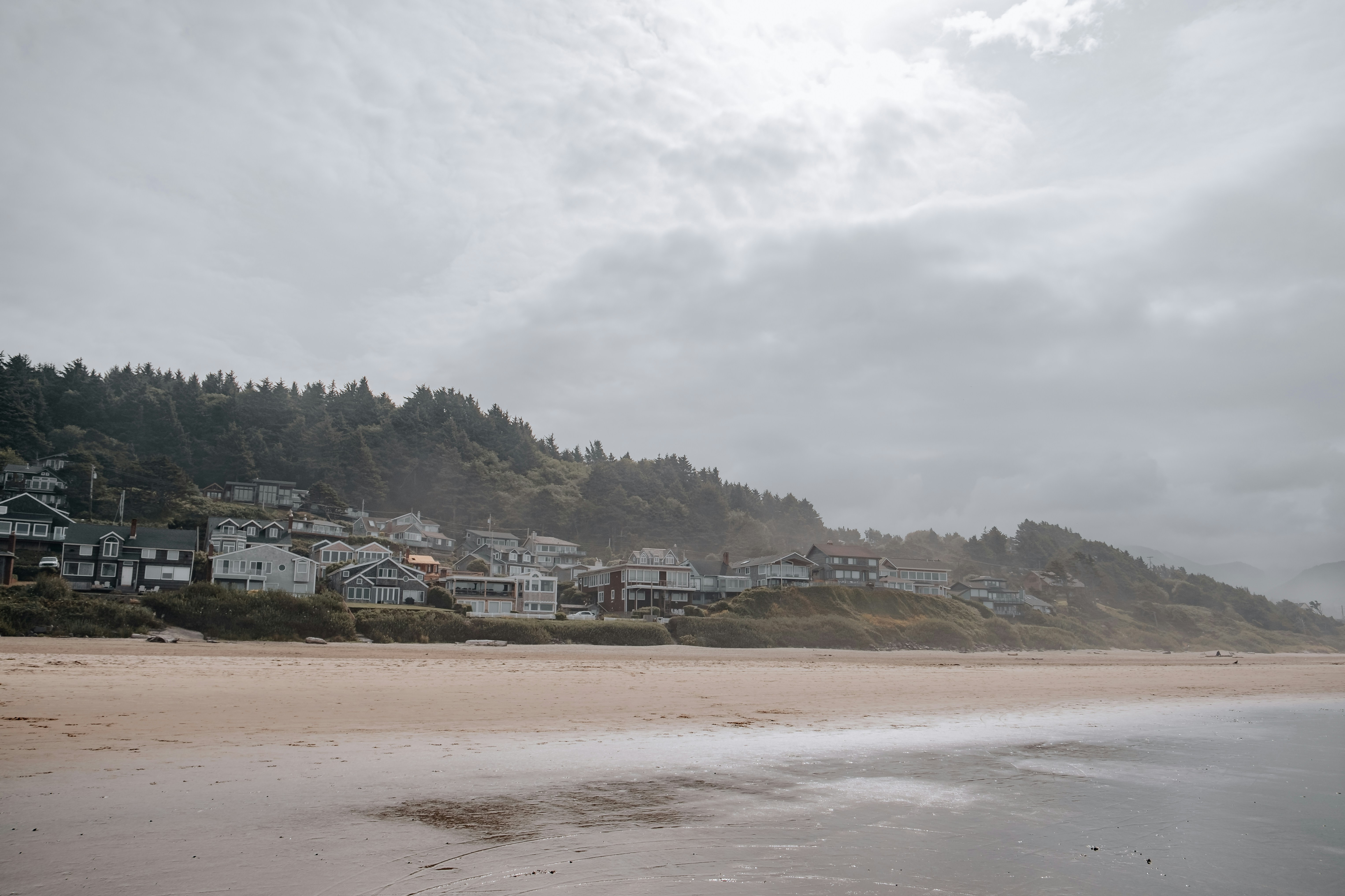 A beach with houses and trees photo – Free Grey Image on Unsplash