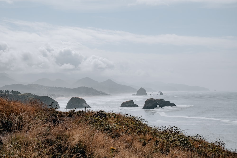 a body of water with rocks in it and grass on the side