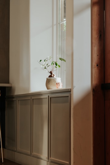 A serene minimalist living room bathed in natural light with plants and soft, neutral tones.