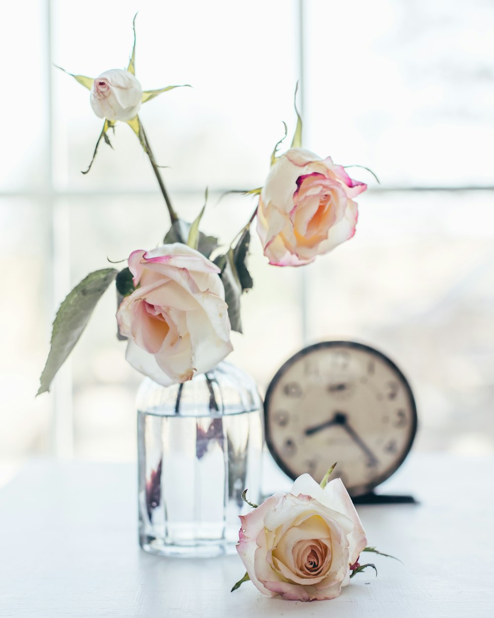 a vase with flowers