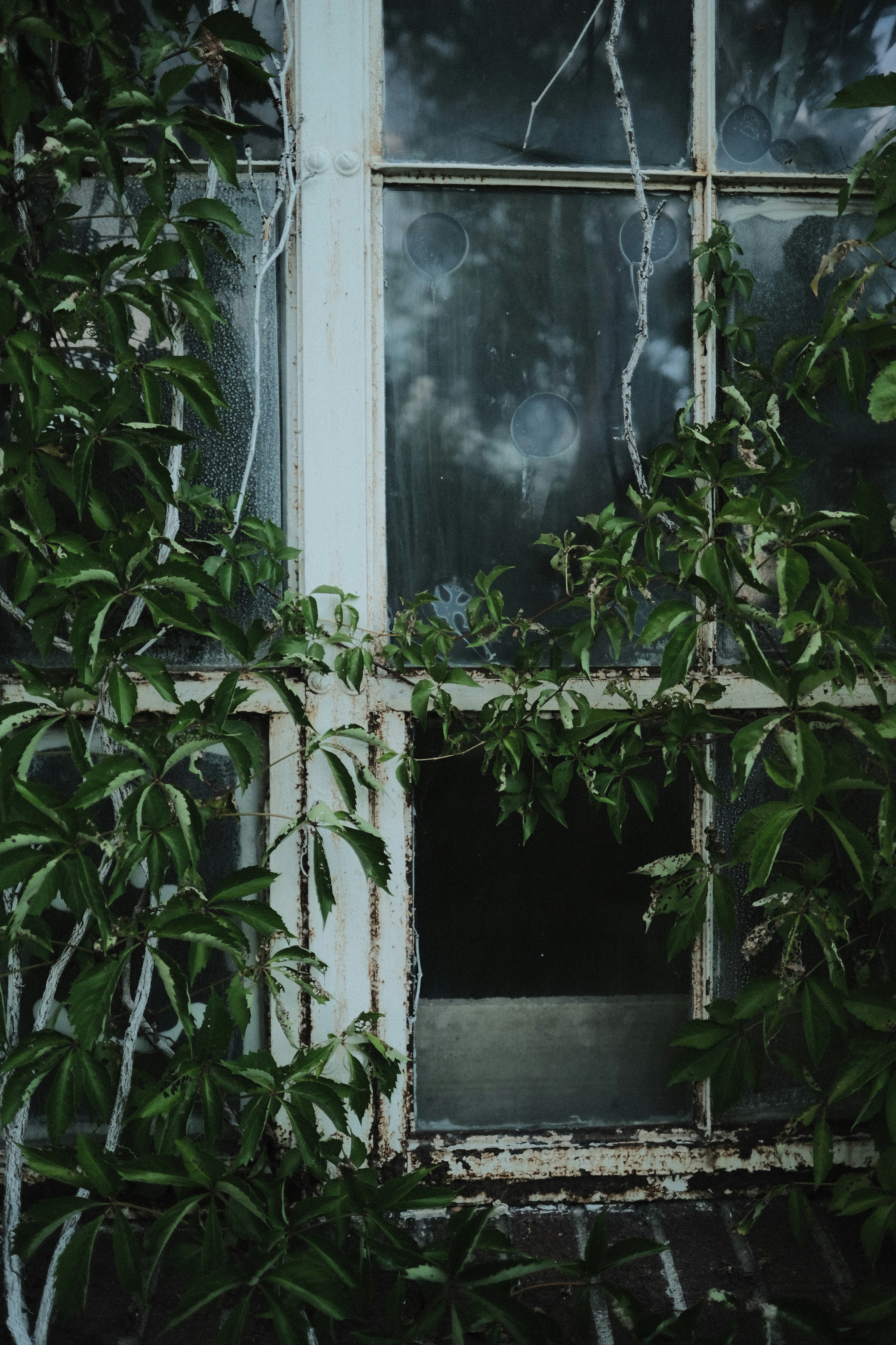 Photo by dillydallying