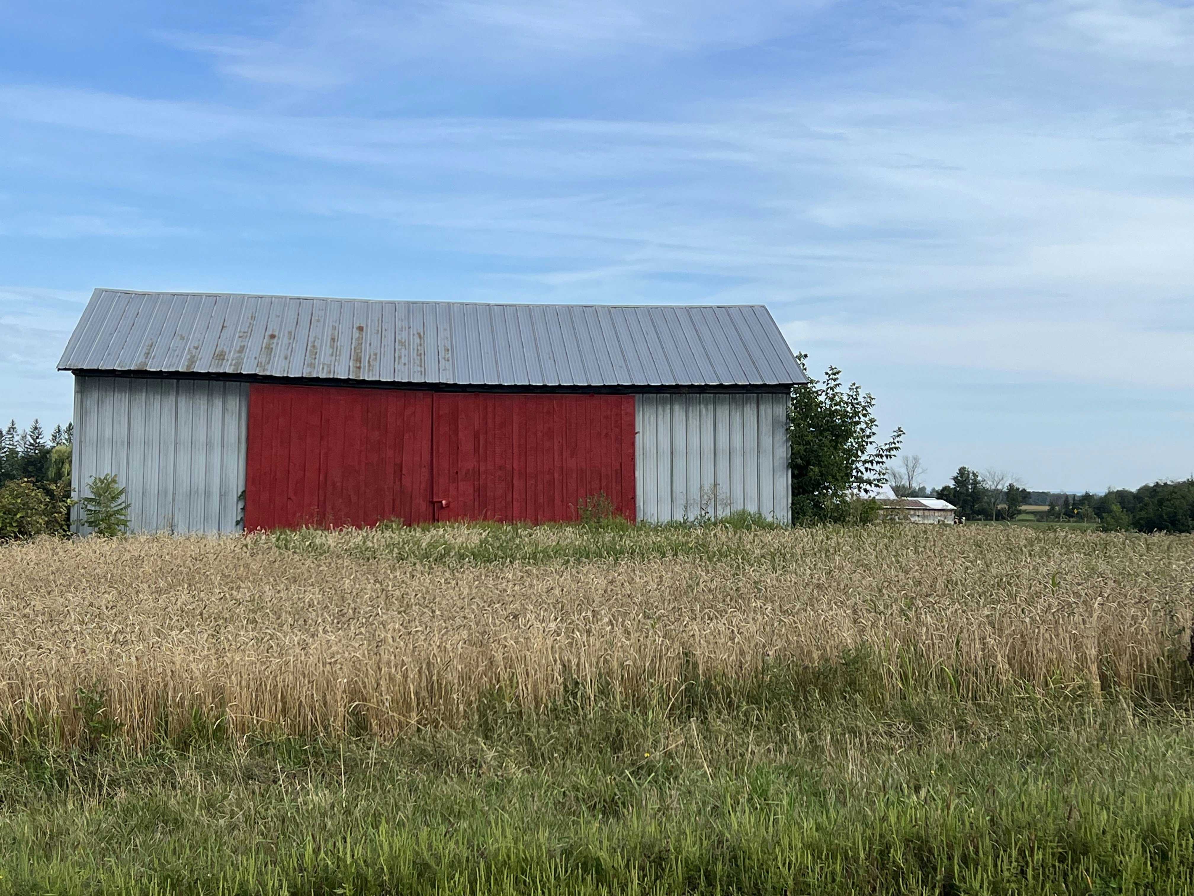 Custom Steel Structures for Sale