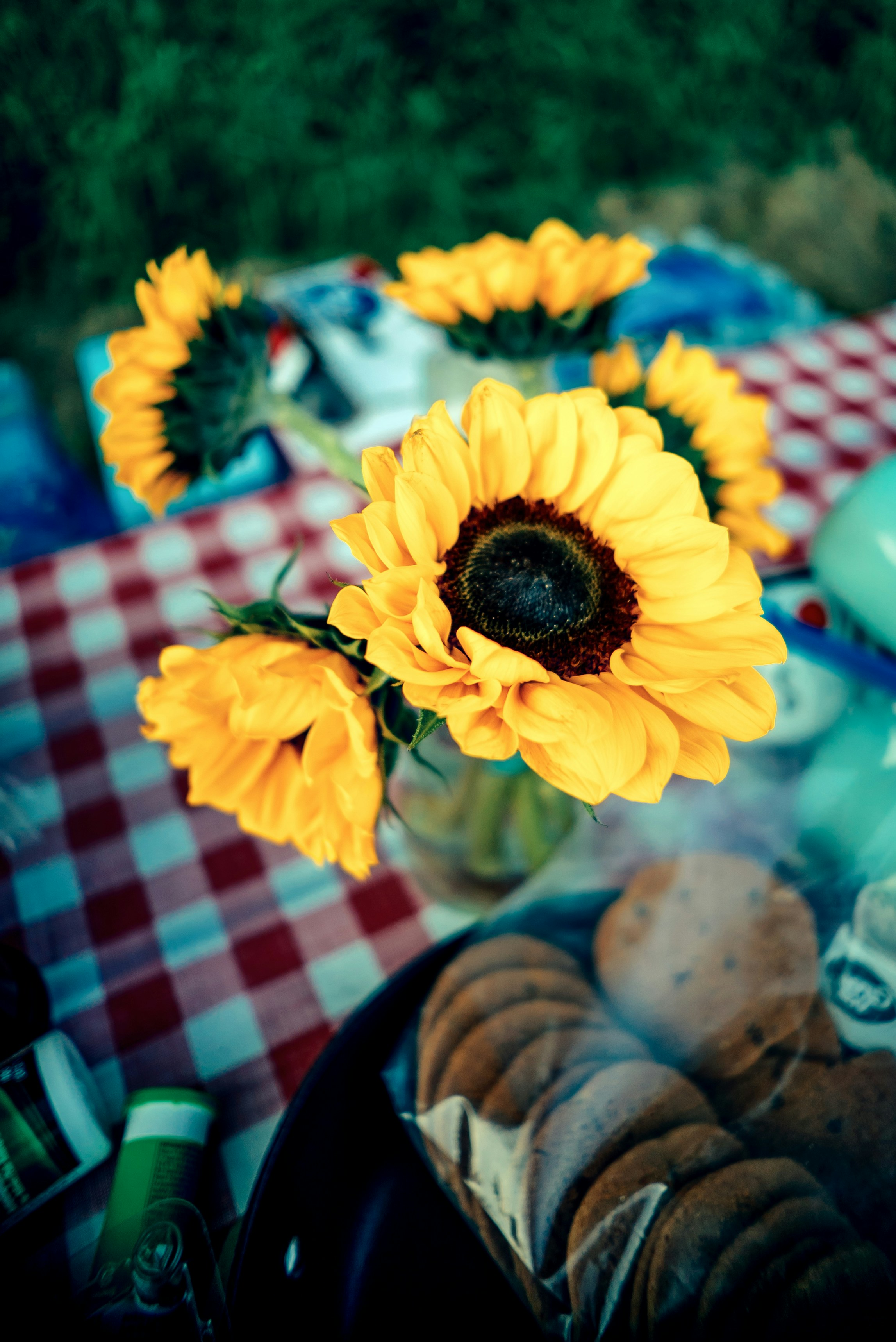 Photo by evanthewise