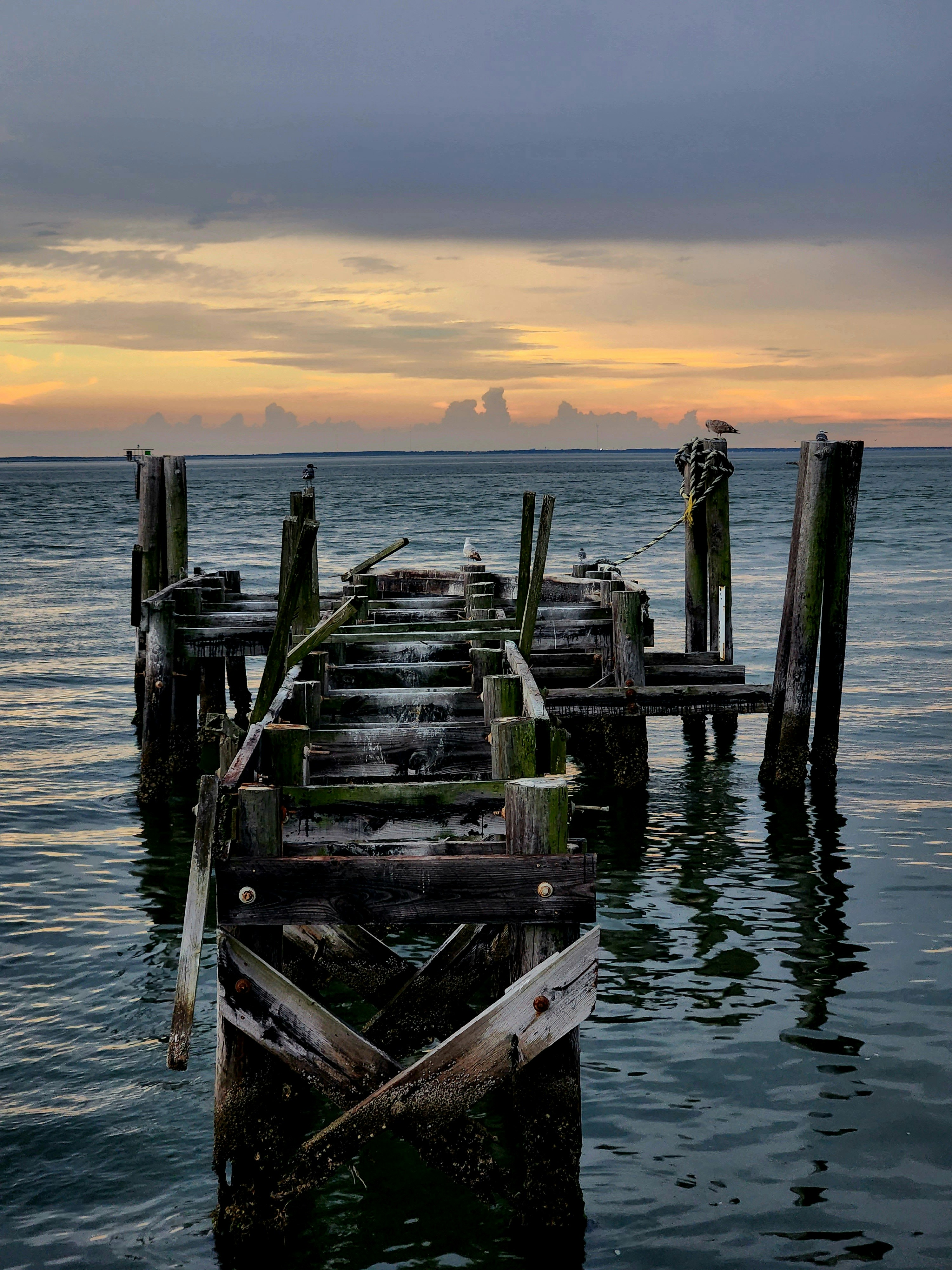 a dock with logs in the water