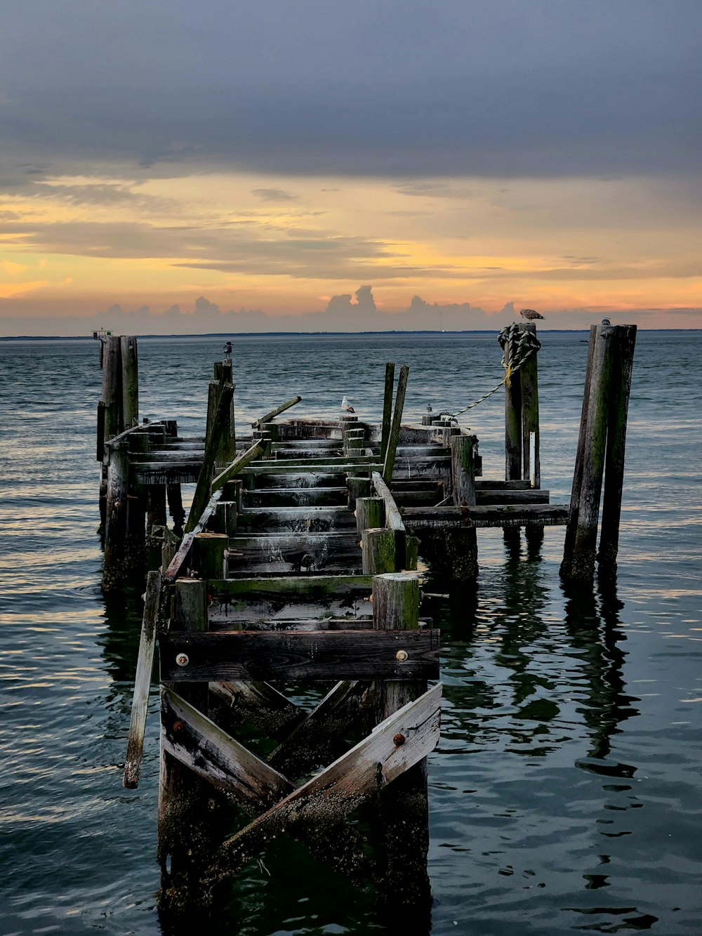 a dock with logs in the water